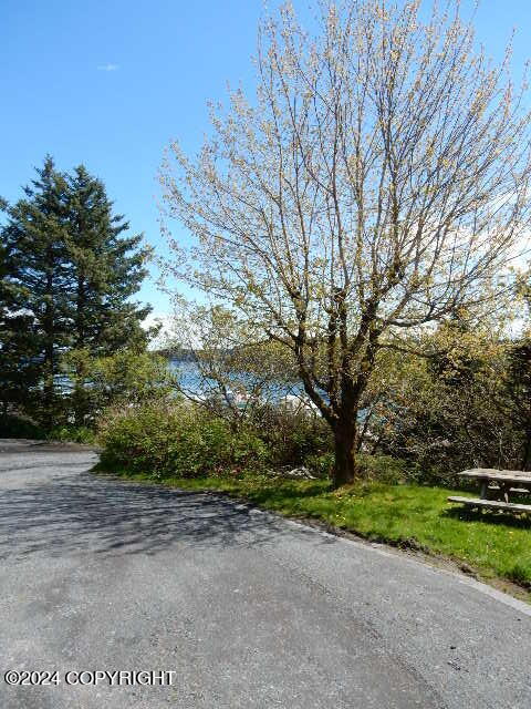 616 E Rezanof Drive, Kodiak, Alaska image 10