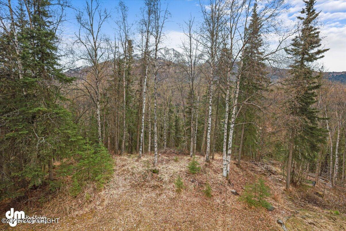 19980 Driftwood Bay Drive #13, Eagle River, Alaska image 34