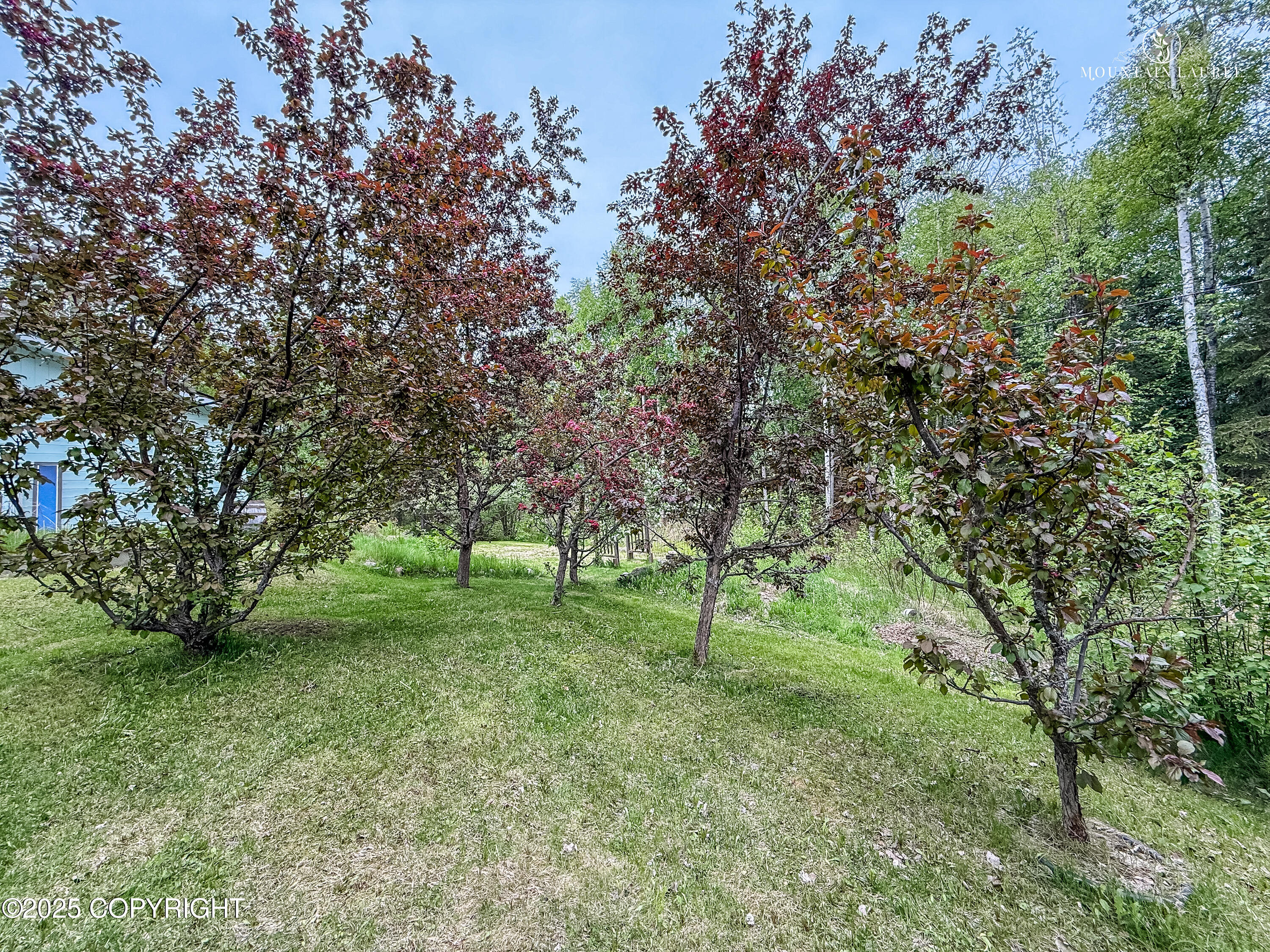 7640 W Scarlet Drive, Wasilla, Alaska image 19
