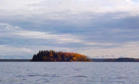 Photo of L21 Lake Louise, Glennallen, AK 99588 (MLS # 26-4595)