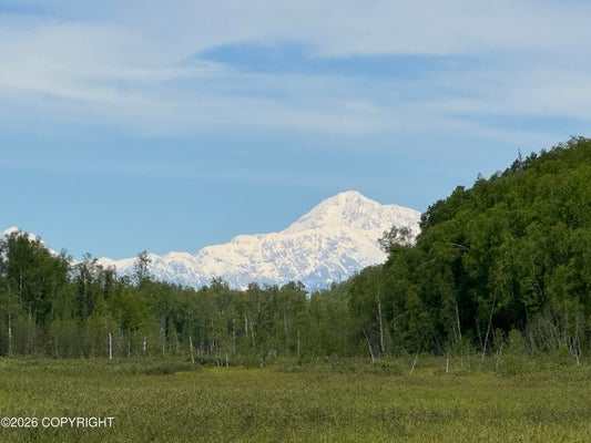 32500 S TALKEETNA SPUR, TALKEETNA, AK 99676 - Image 0e2db2dee1102091187ad44cf7e98d11/3949538259