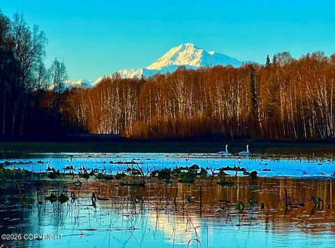 Photo of 32500 S Talkeetna Spur Road, Talkeetna, AK 99676 (MLS # 26-7086)