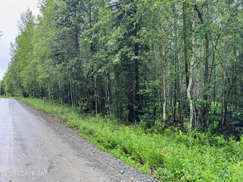 Vacant Land For Sale - 7480 W Captain Hook Drive<br/> Wasilla, AK 99623