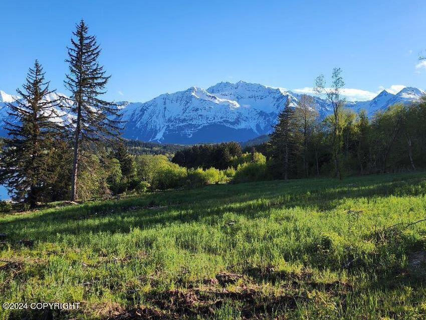 Lot 6 E Barnett Drive, Haines, Alaska image 3