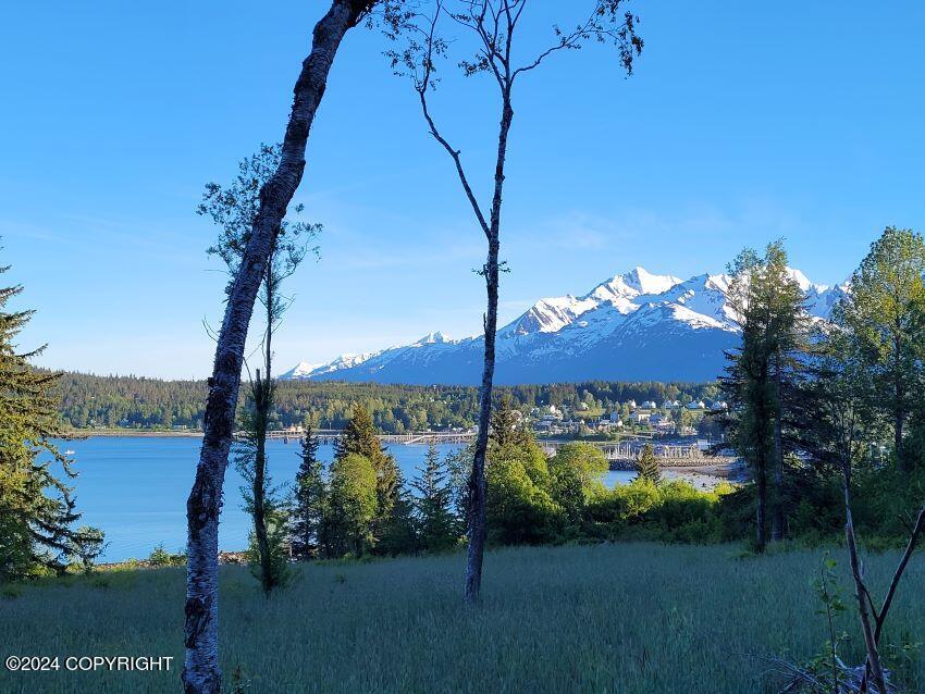 Lot 6 E Barnett Drive, Haines, Alaska image 7