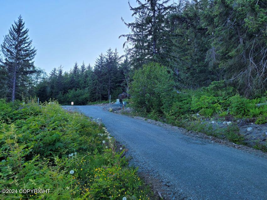 Lot 6 E Barnett Drive, Haines, Alaska image 5