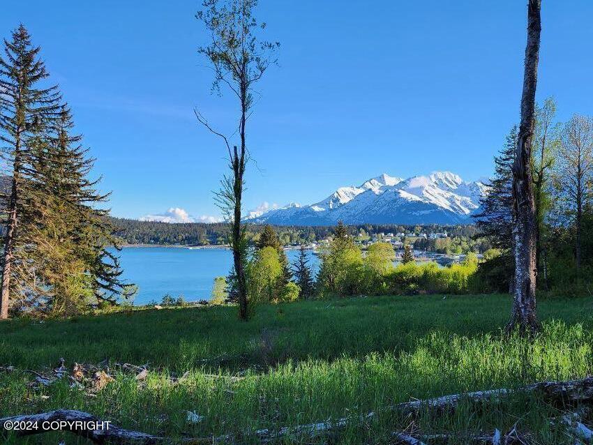 Lot 6 E Barnett Drive, Haines, Alaska image 2