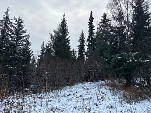 Vacant Land For Sale - 000 Old Sterling Highway<br/> Anchor Point, AK 99556