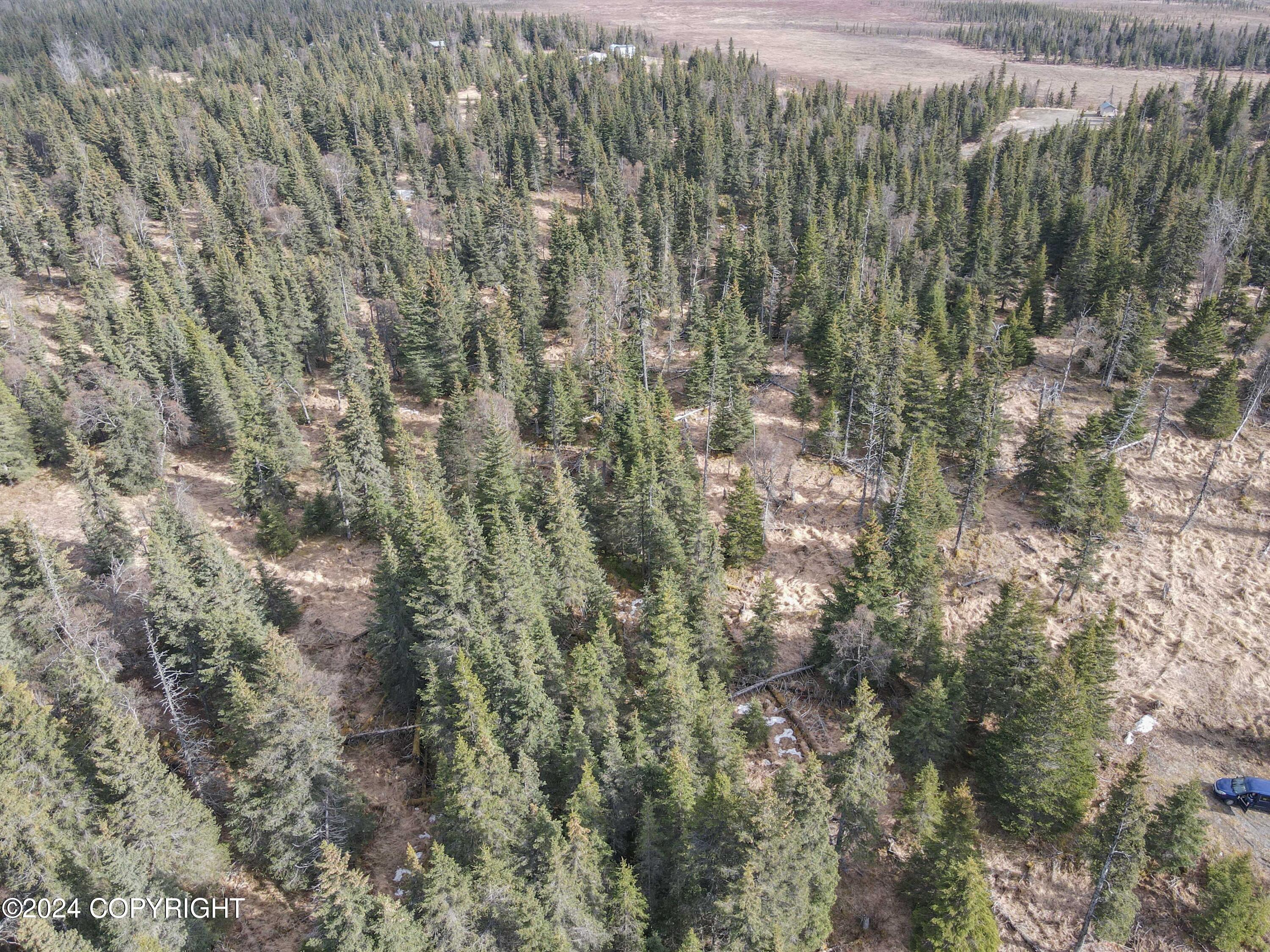 Lot 15 Kivalina Circle, Ninilchik, Alaska image 8