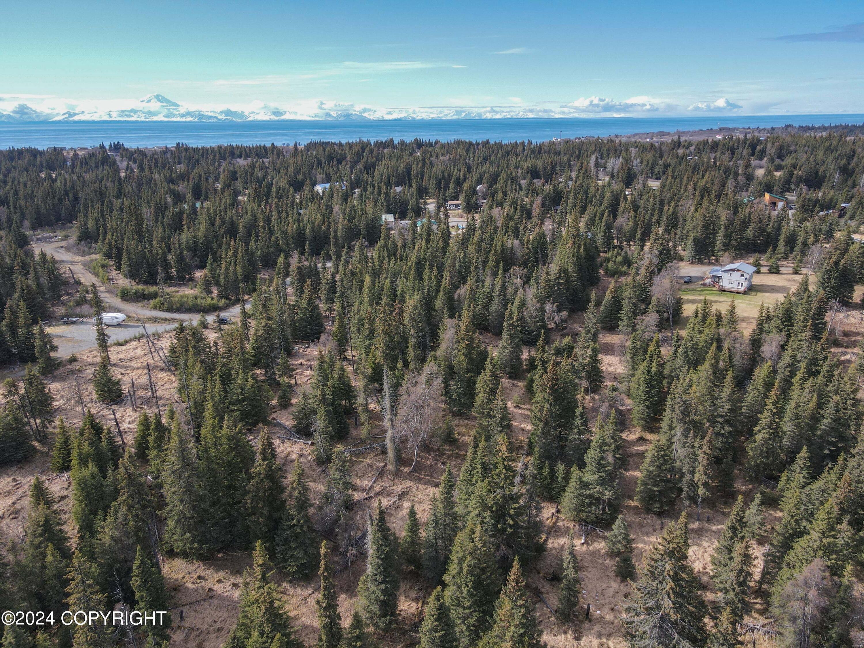 Lot 15 Kivalina Circle, Ninilchik, Alaska image 9