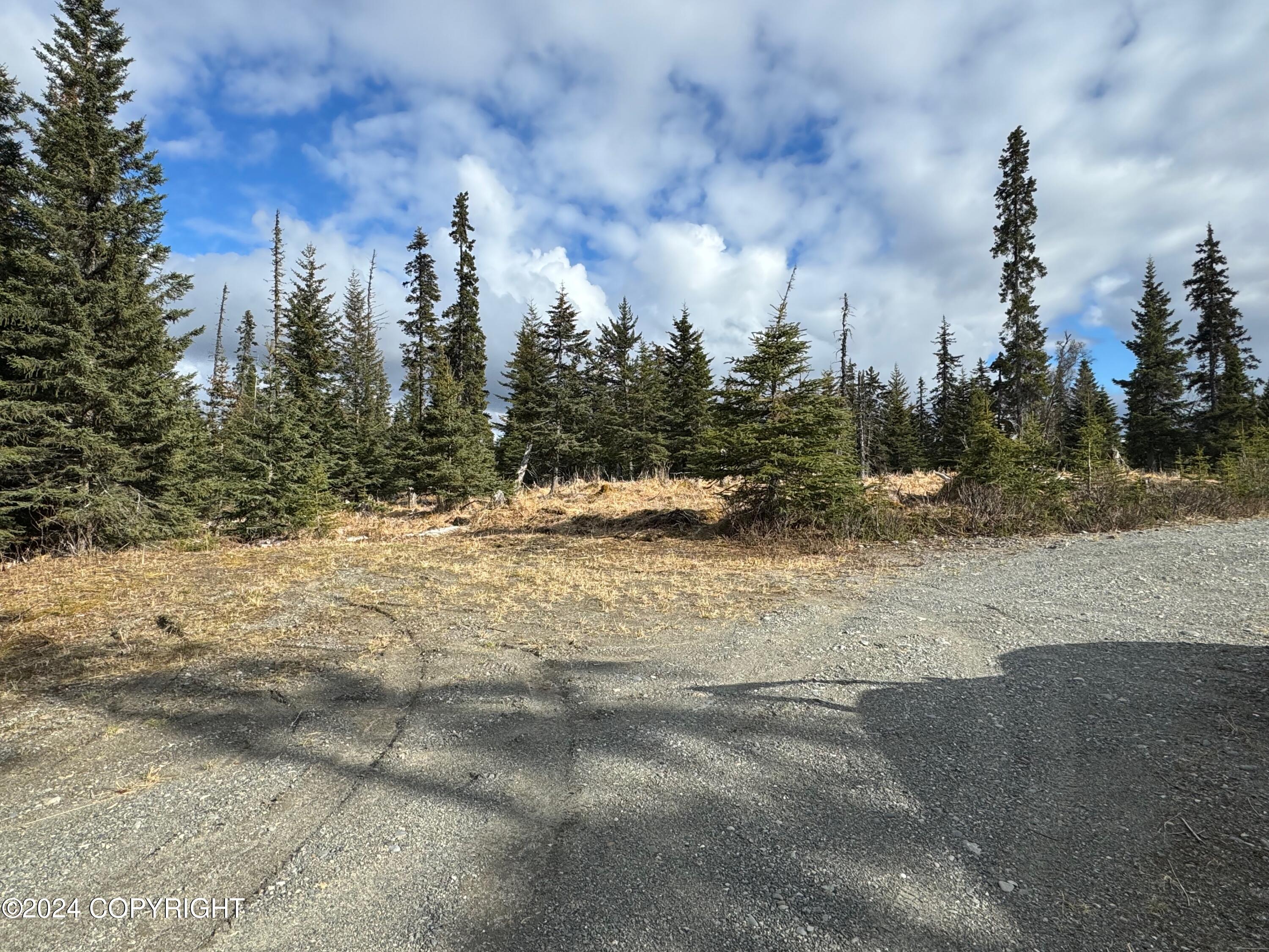 Lot 15 Kivalina Circle, Ninilchik, Alaska image 3