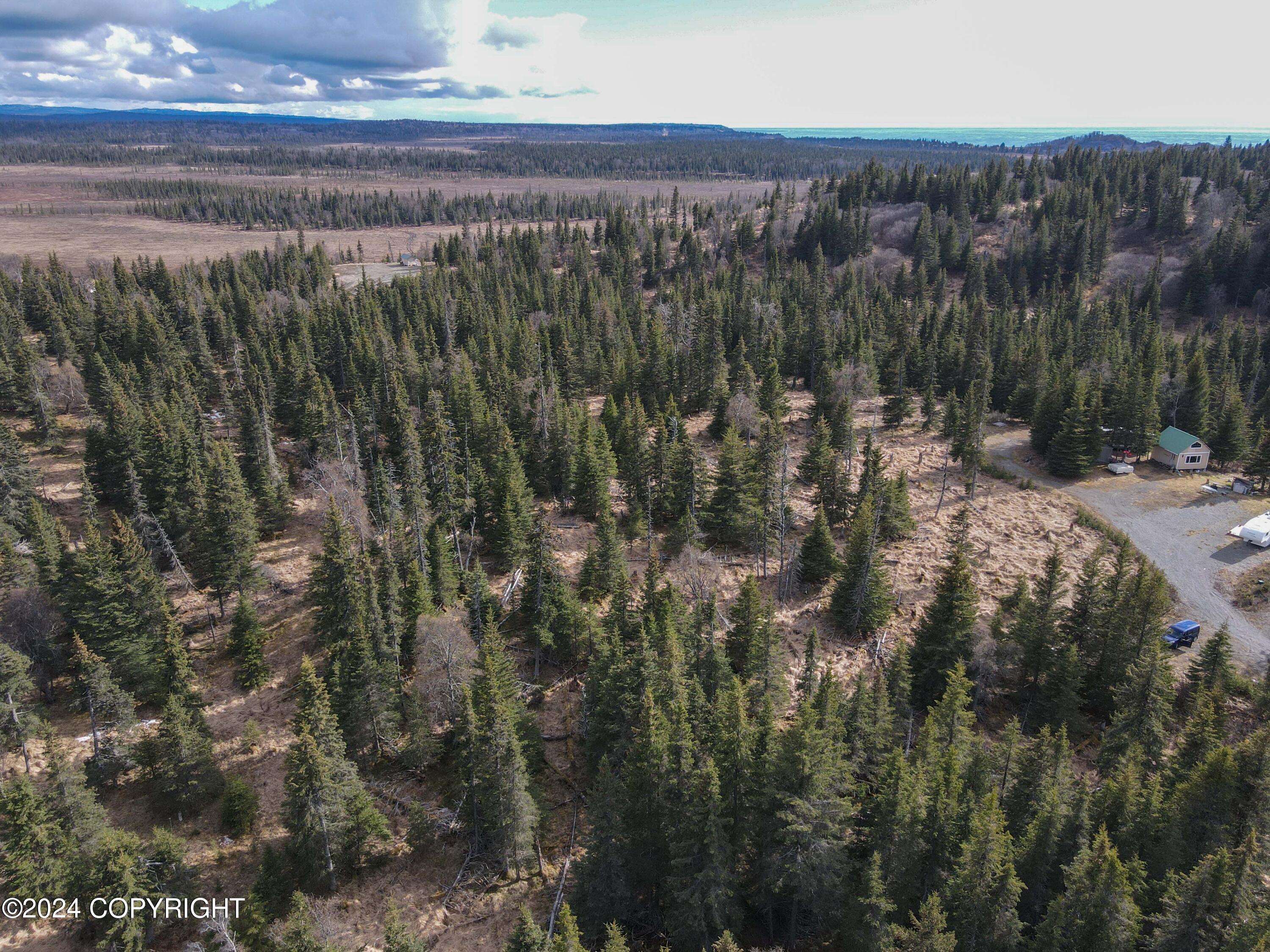 Lot 15 Kivalina Circle, Ninilchik, Alaska image 4