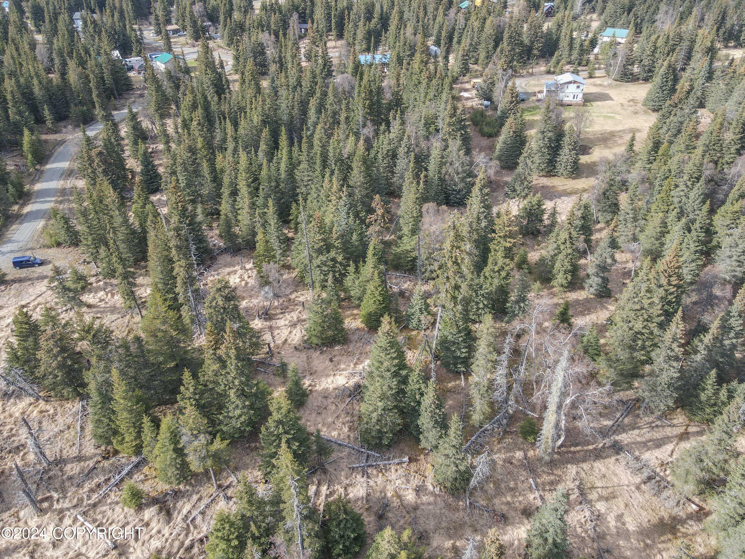 Lot 15 Kivalina Circle, Ninilchik, Alaska image 6
