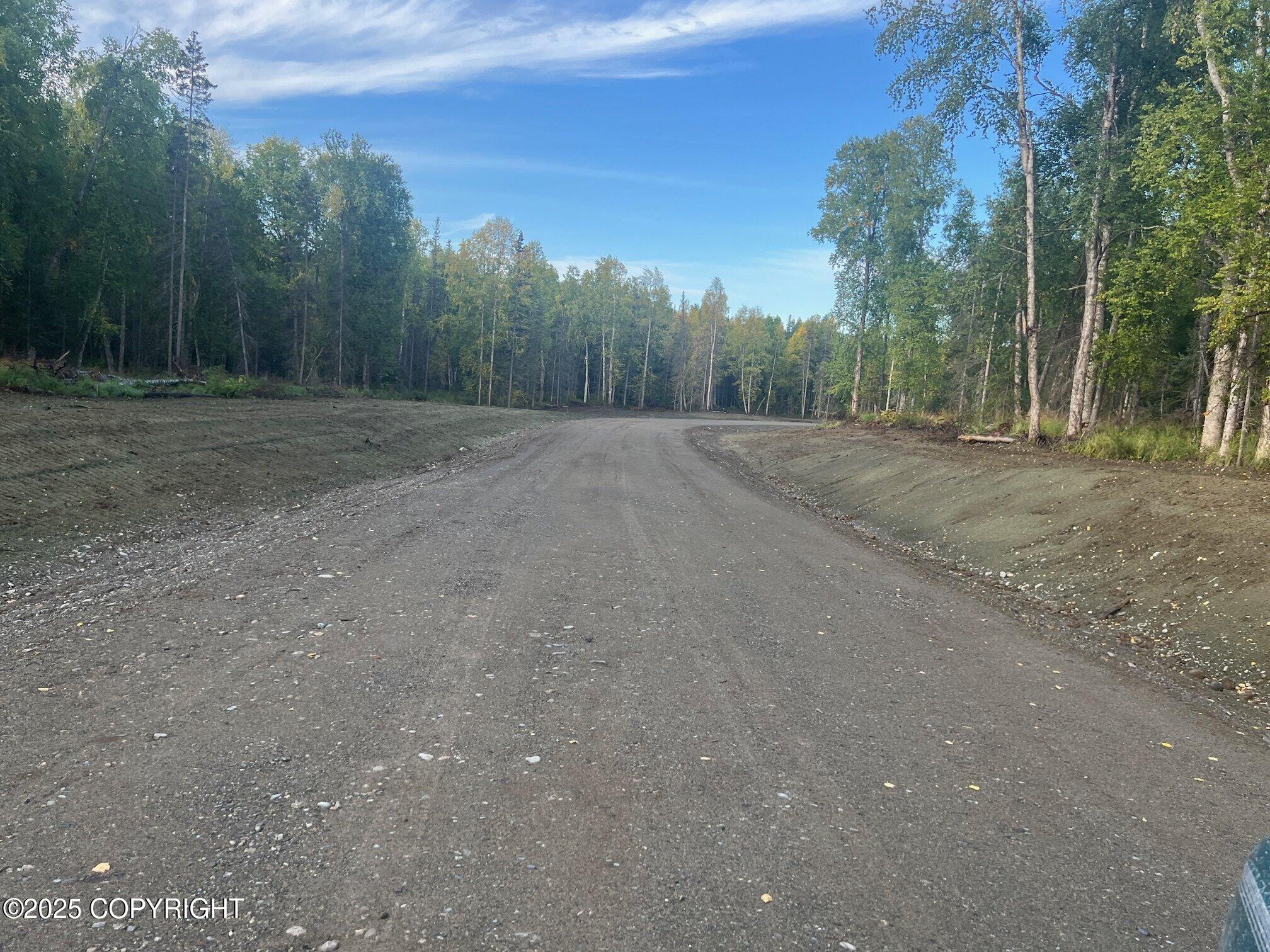 26187 S S Gadol Drive, Talkeetna, Alaska image 18