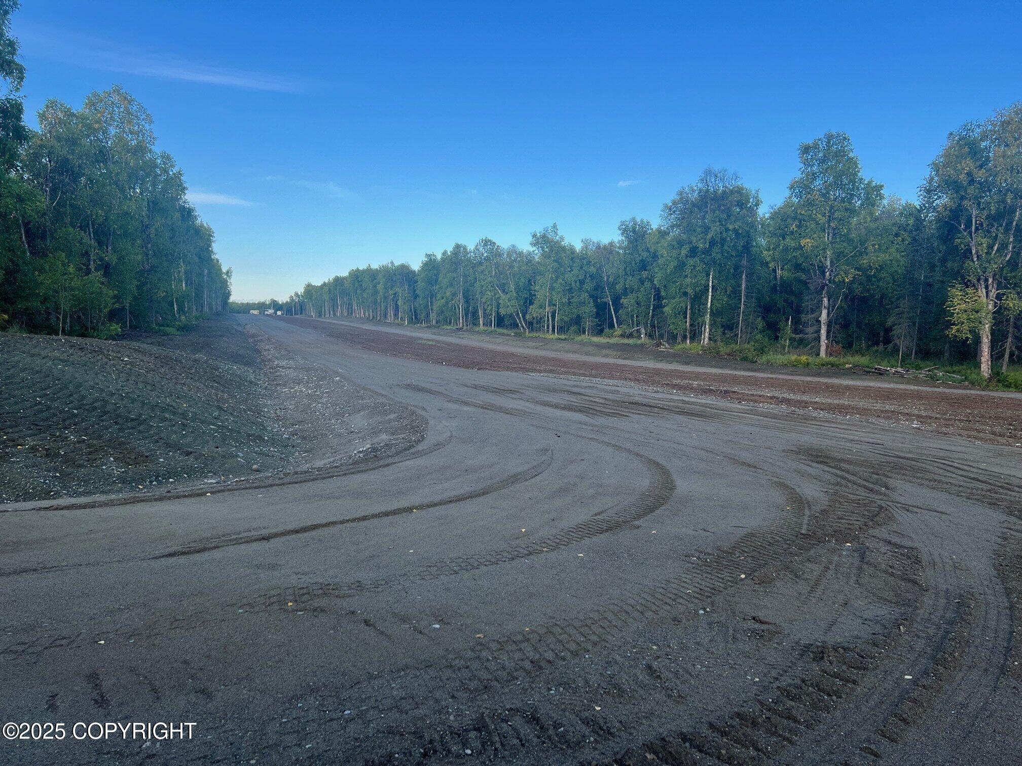 26187 S S Gadol Drive, Talkeetna, Alaska image 16