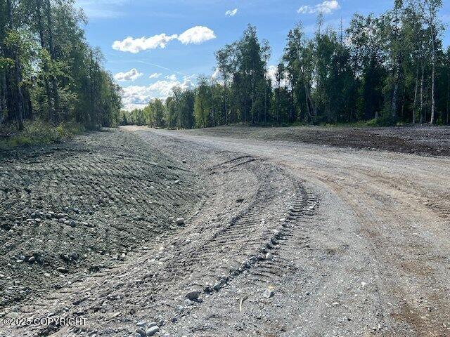 26187 S S Gadol Drive, Talkeetna, Alaska image 14