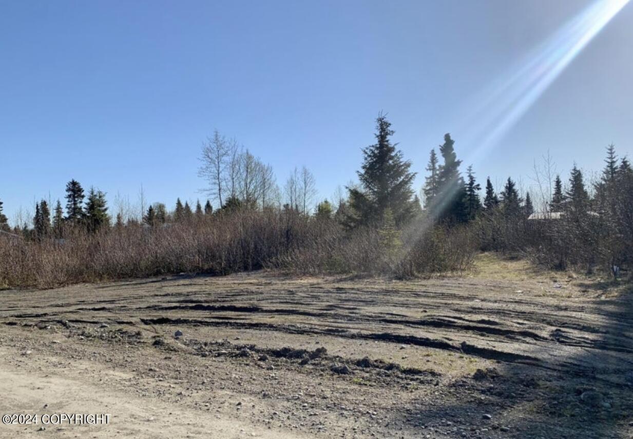 66235 Bev Avenue, Ninilchik, Alaska image 14