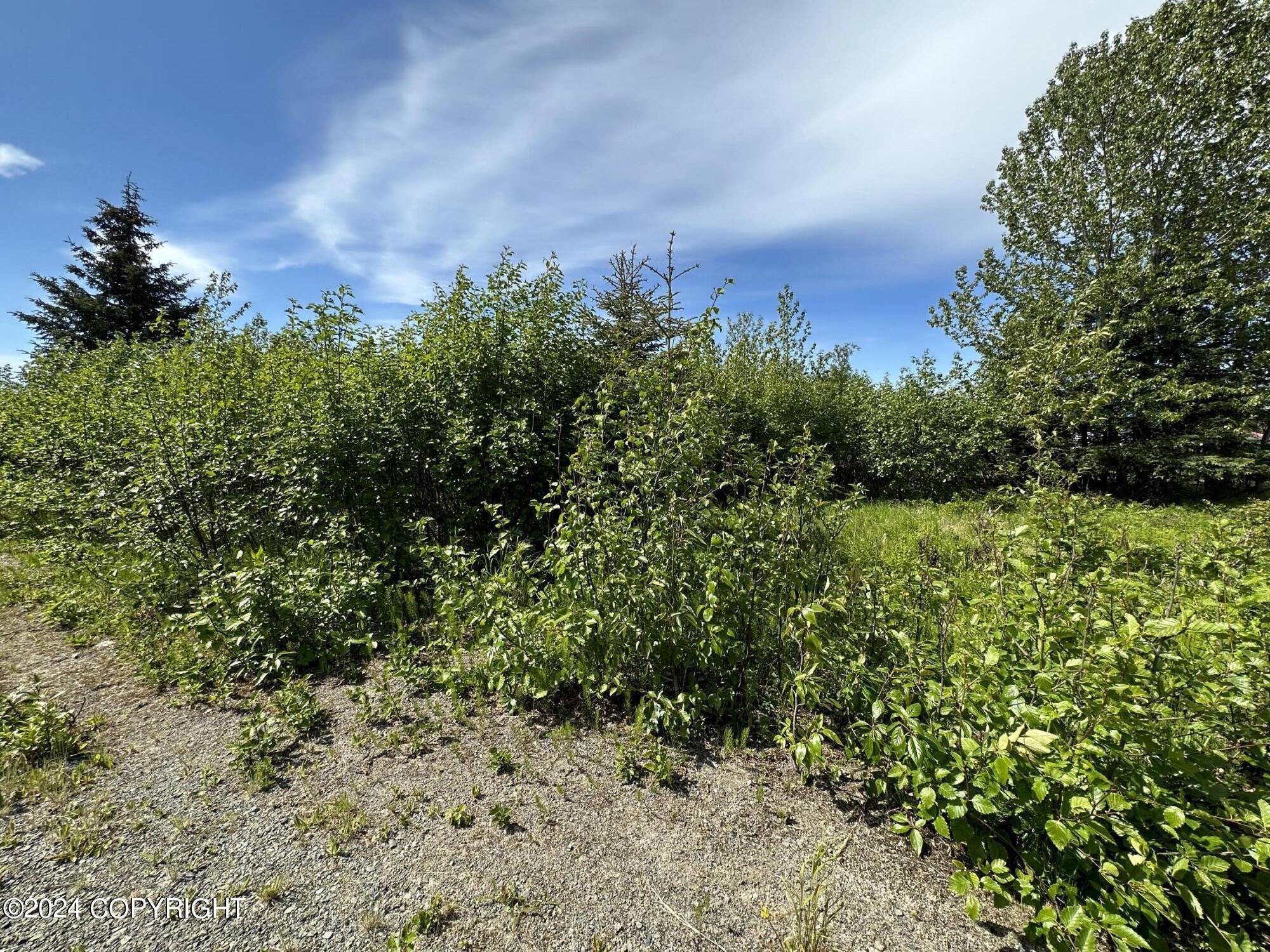66235 Bev Avenue, Ninilchik, Alaska image 3
