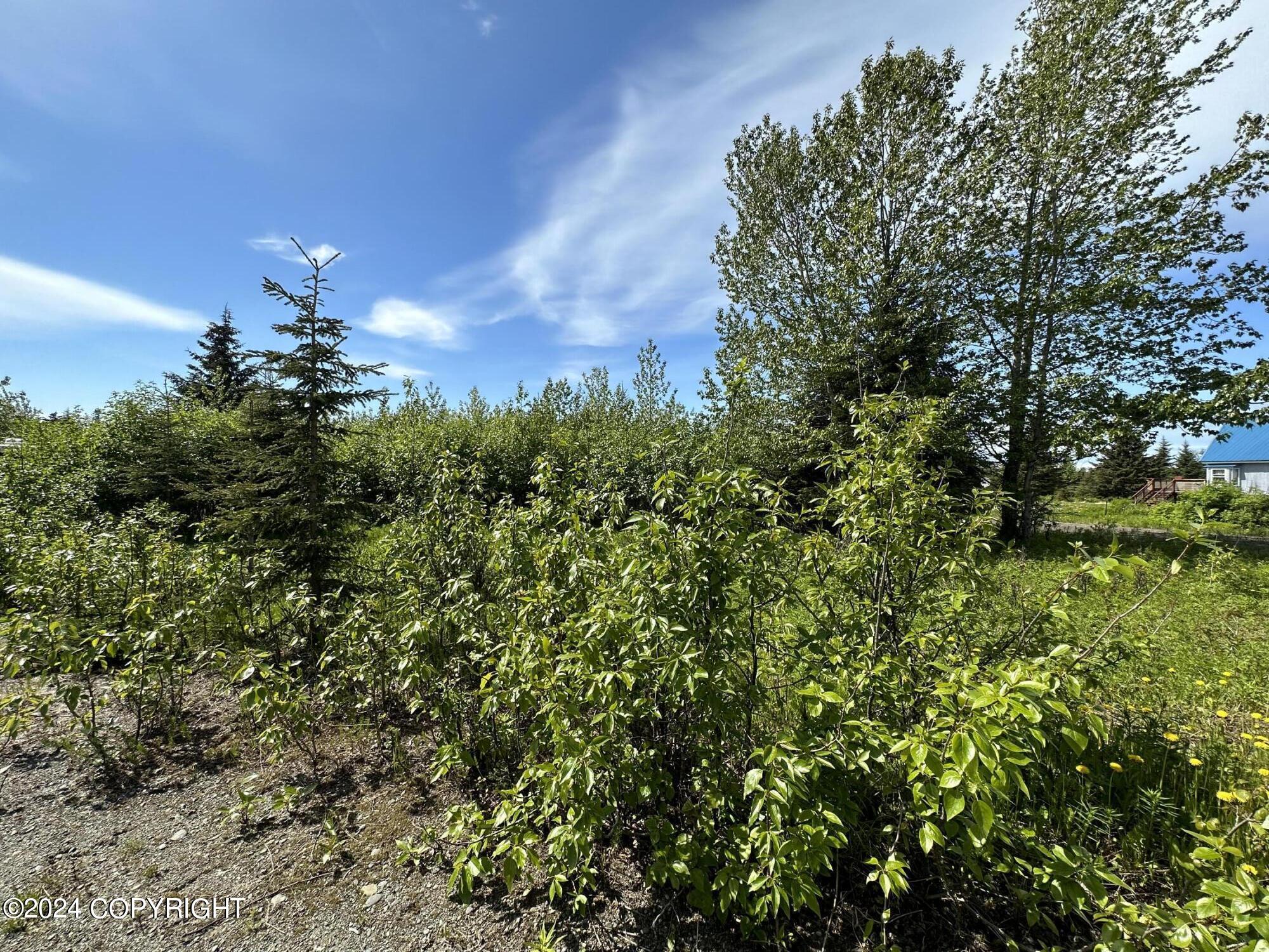 66235 Bev Avenue, Ninilchik, Alaska image 4