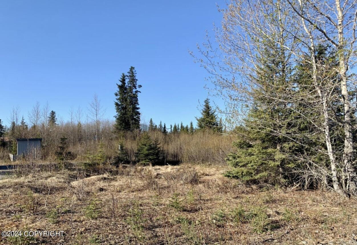 66235 Bev Avenue, Ninilchik, Alaska image 11