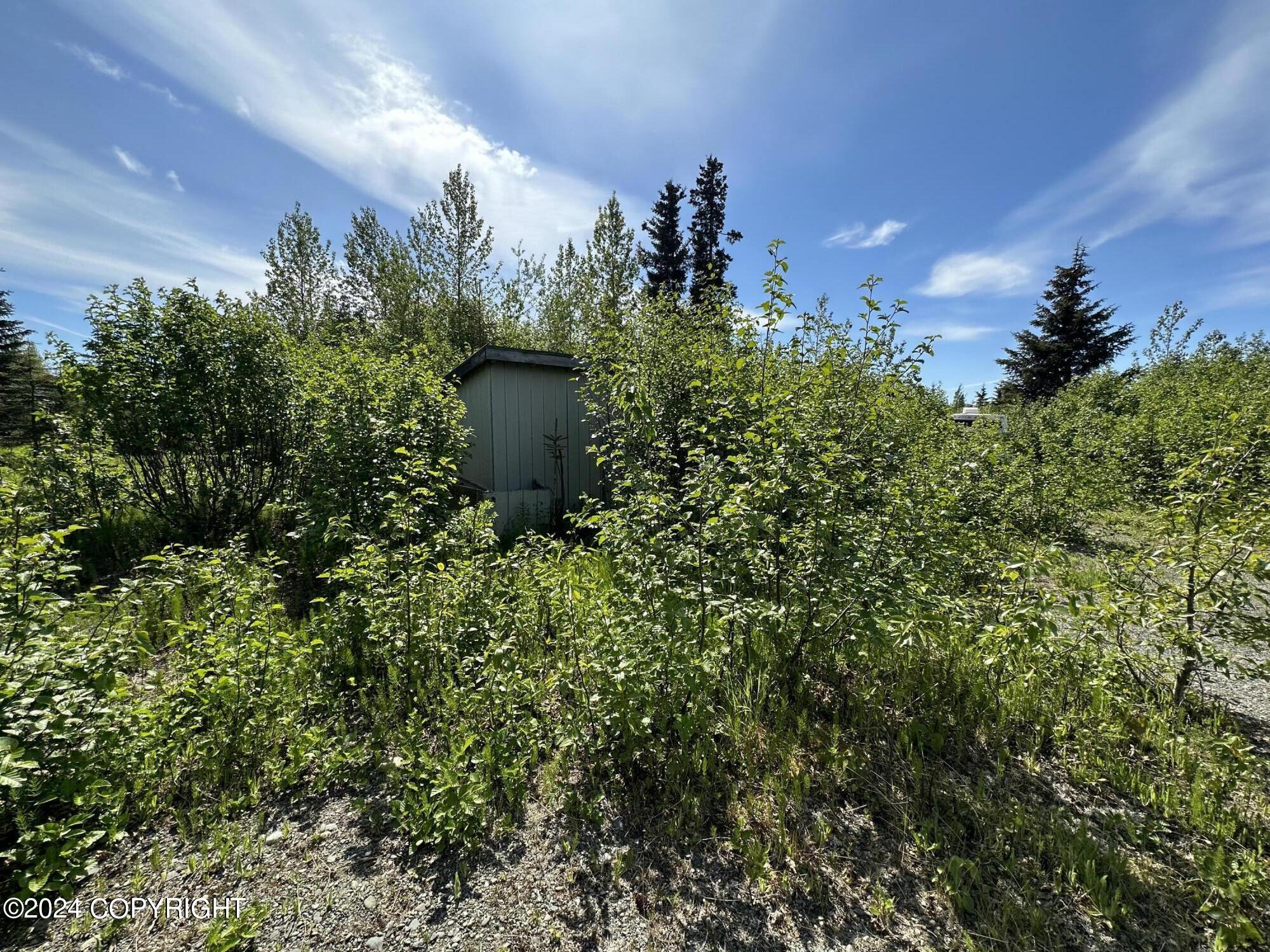 66235 Bev Avenue, Ninilchik, Alaska image 5