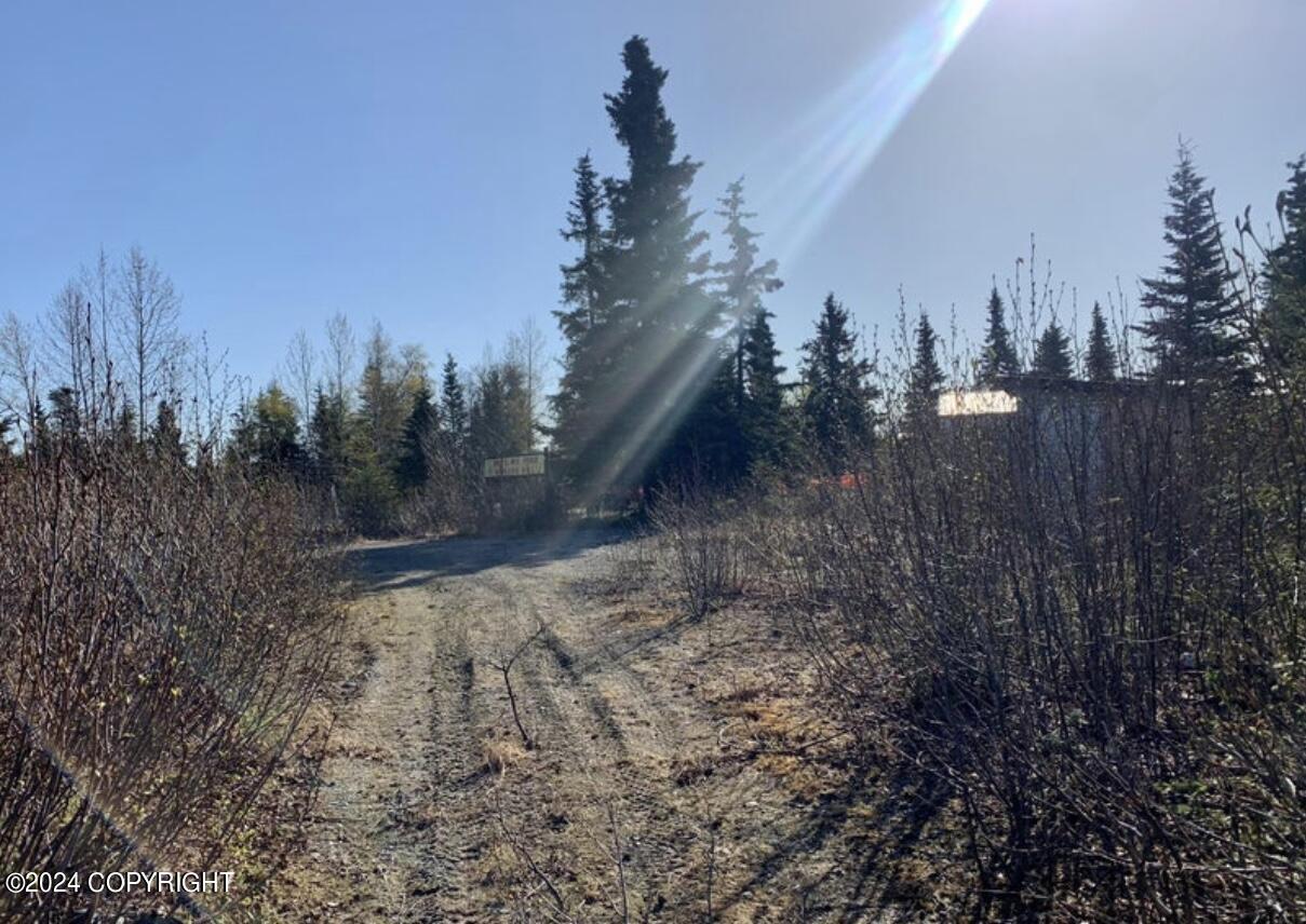66235 Bev Avenue, Ninilchik, Alaska image 15