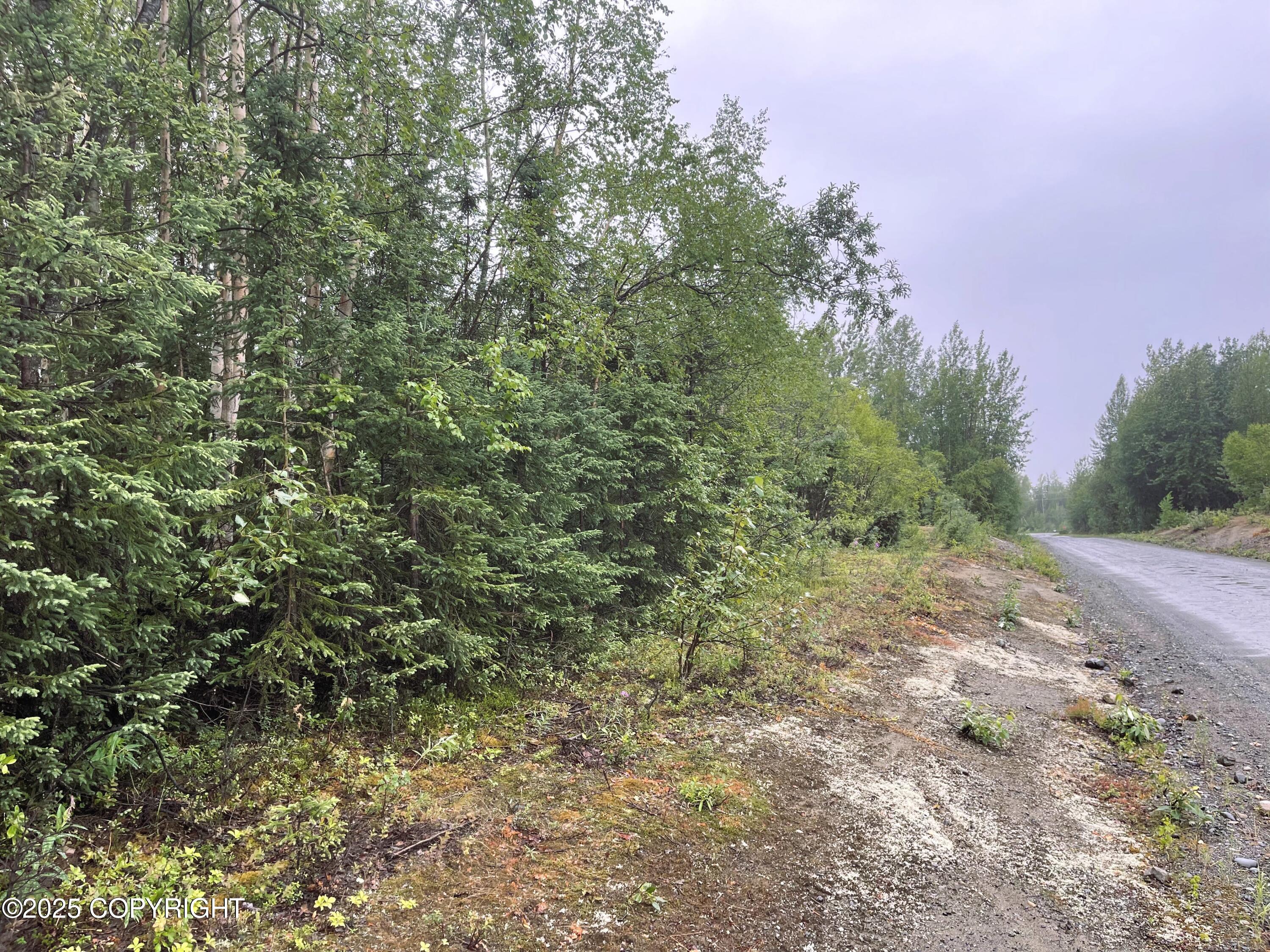 L2 E Talachulitna Drive #LOT 6, Willow, Idaho image 13