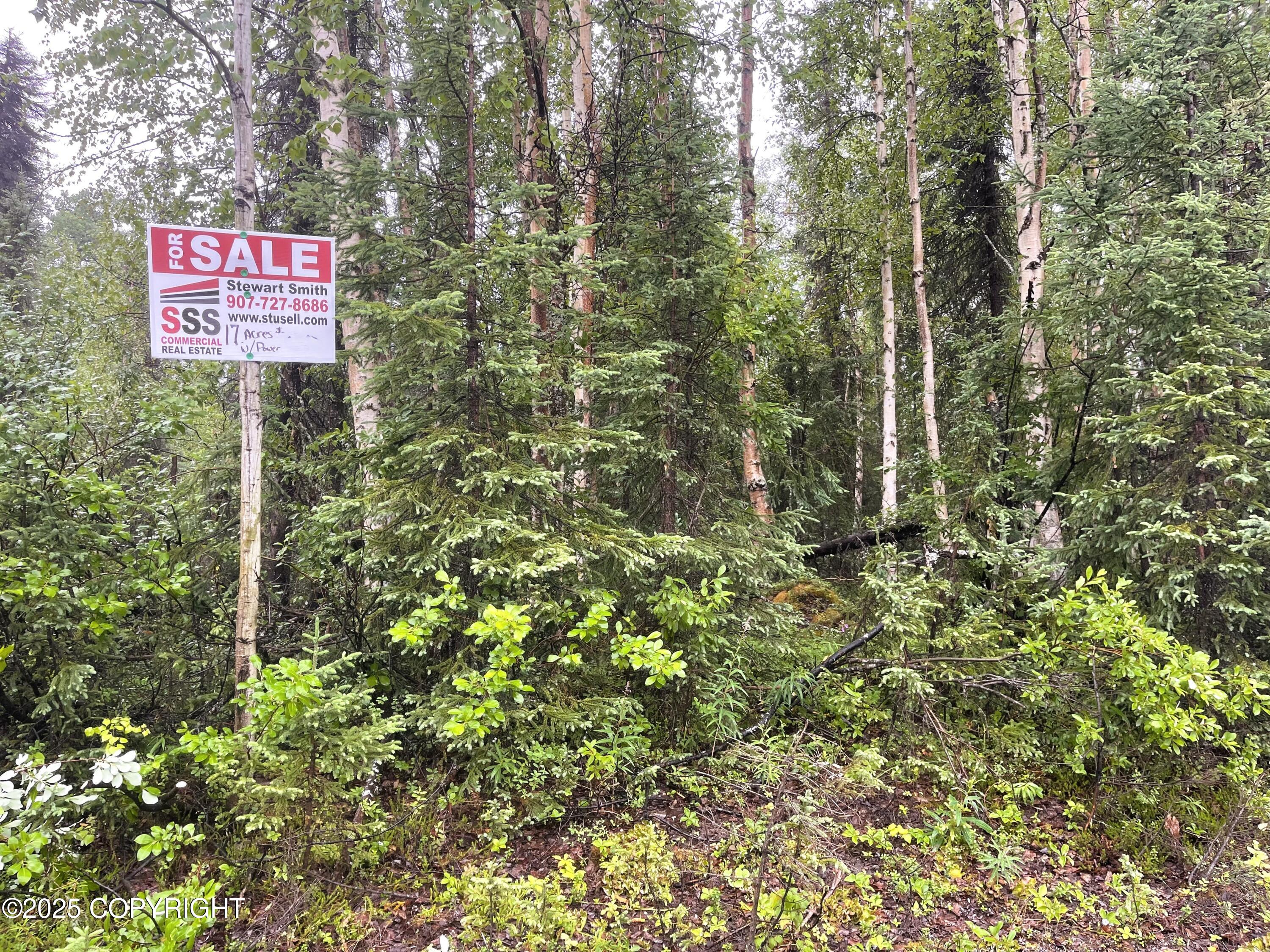 L2 E Talachulitna Drive #LOT 6, Willow, Idaho image 12