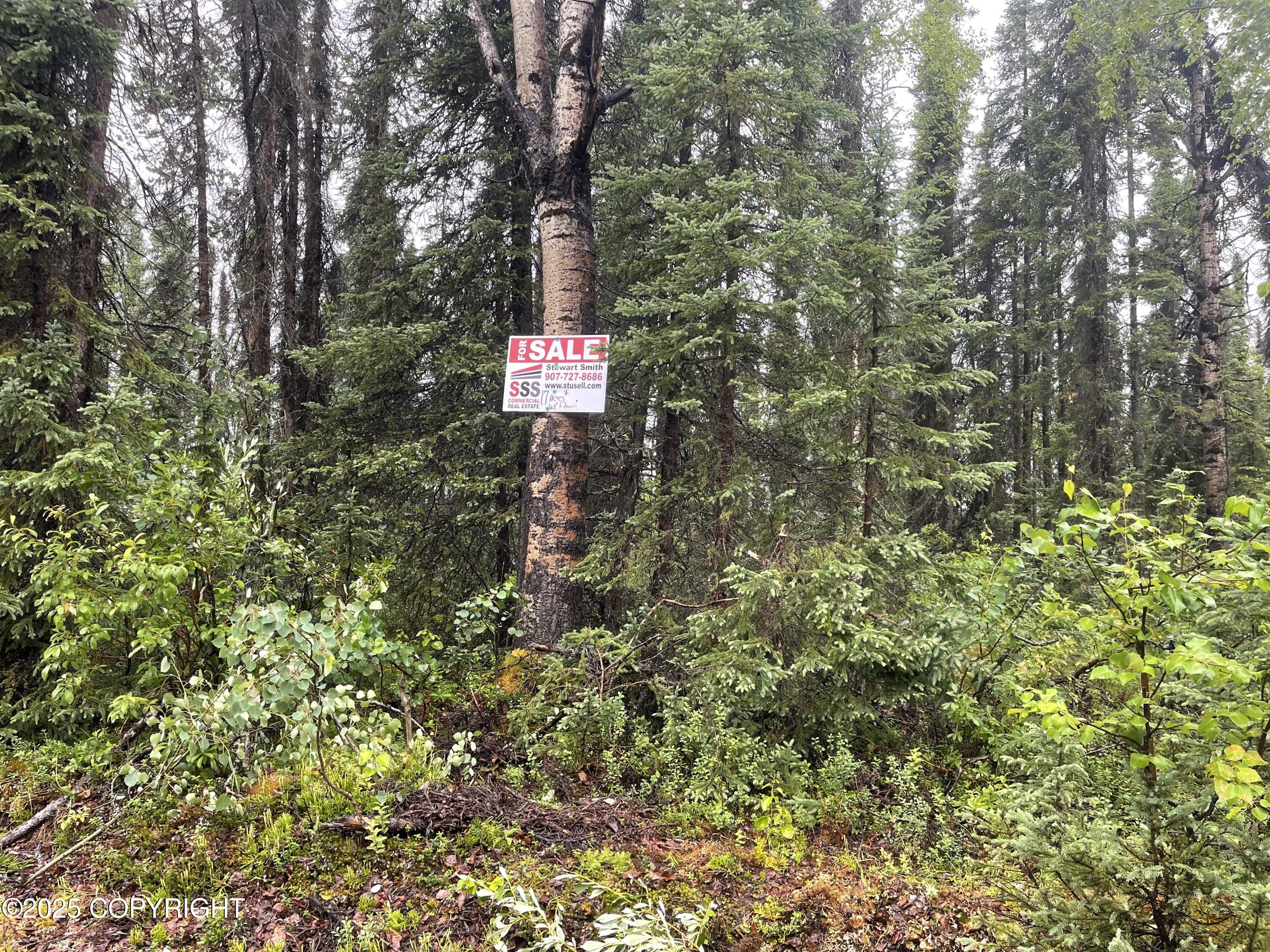 L2 E Talachulitna Drive #LOT 6, Willow, Idaho image 5