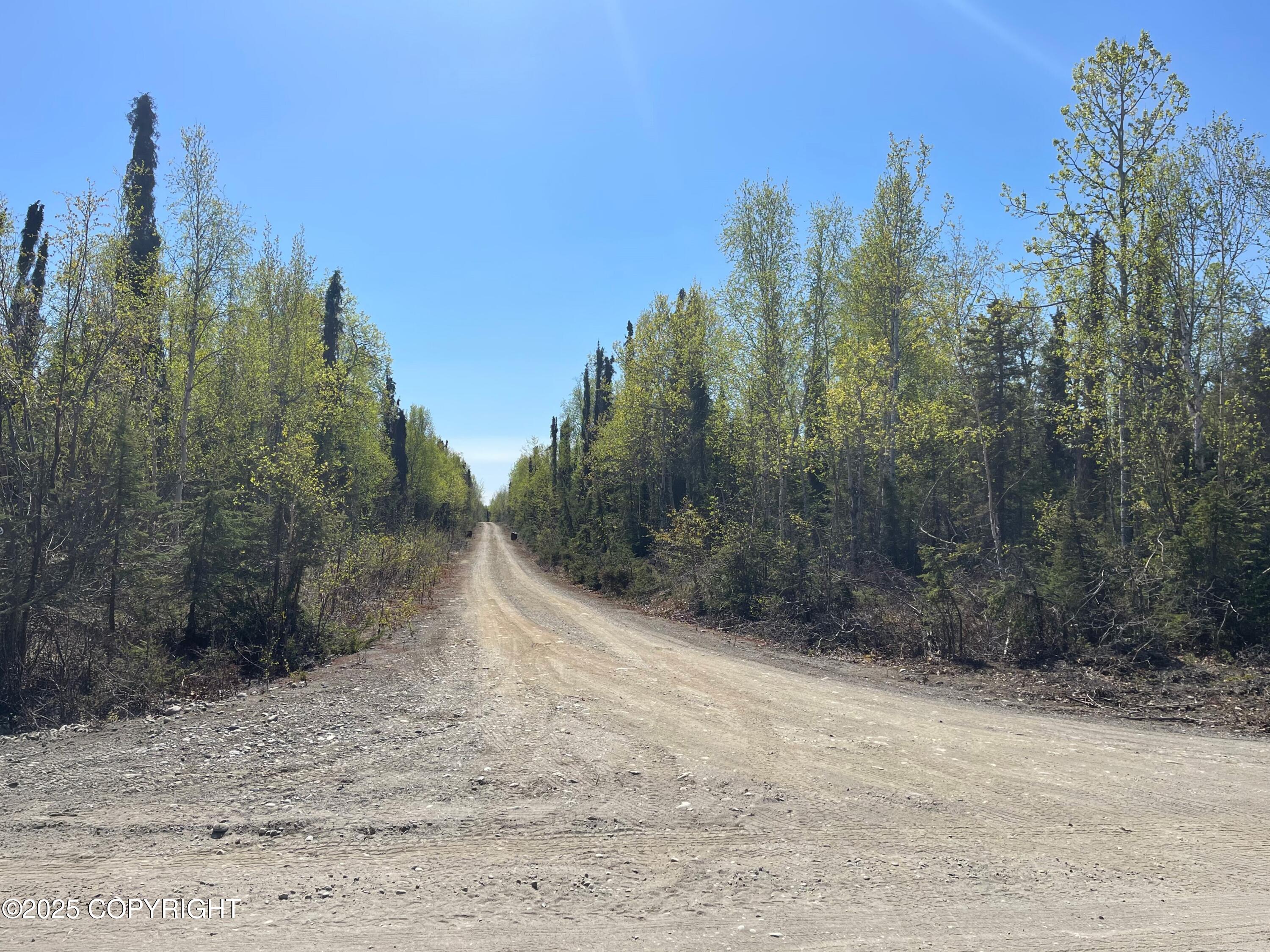 L2 E Talachulitna Drive #LOT 6, Willow, Idaho image 7