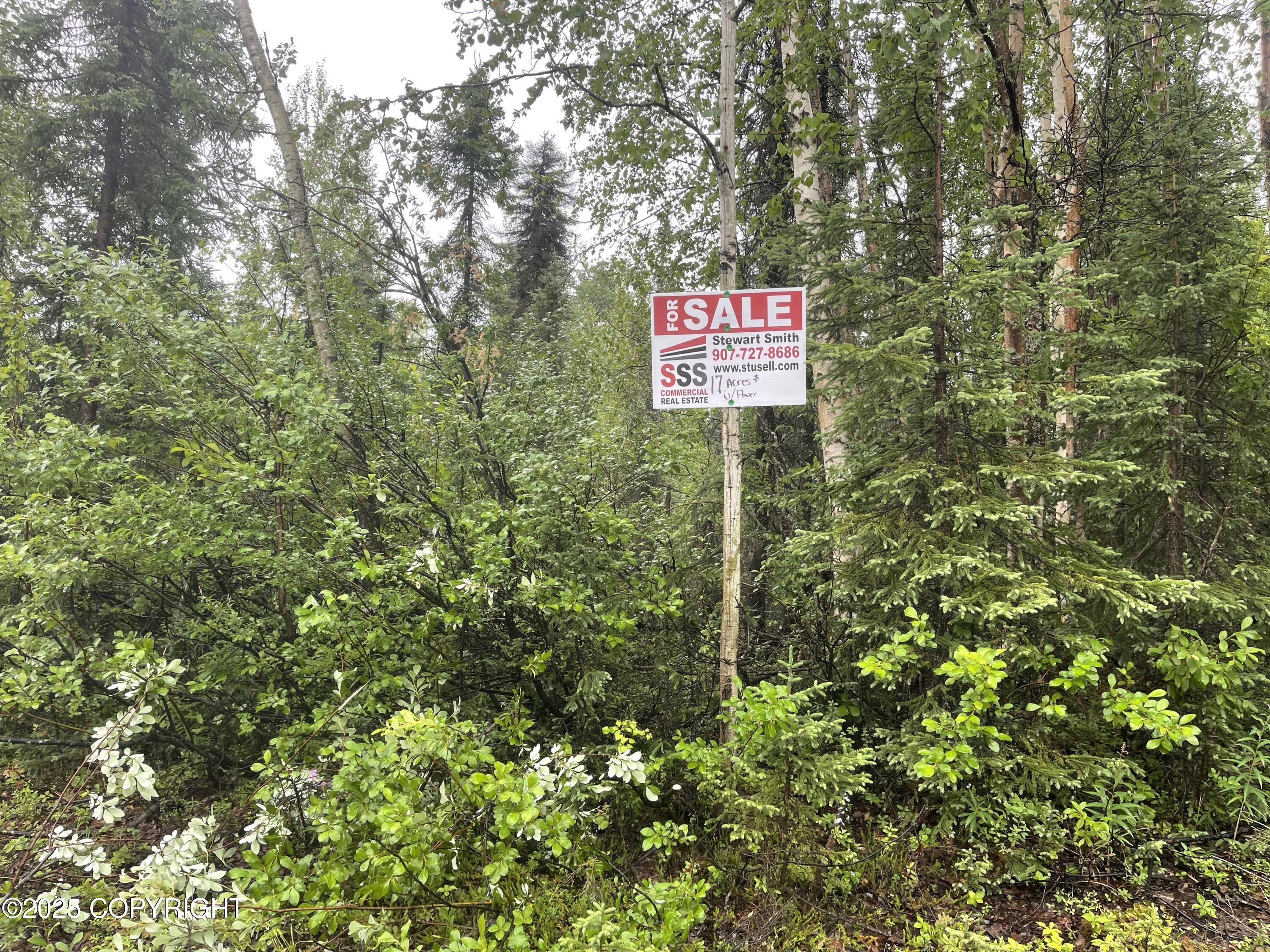 L2 E Talachulitna Drive #LOT 6, Willow, Idaho image 6
