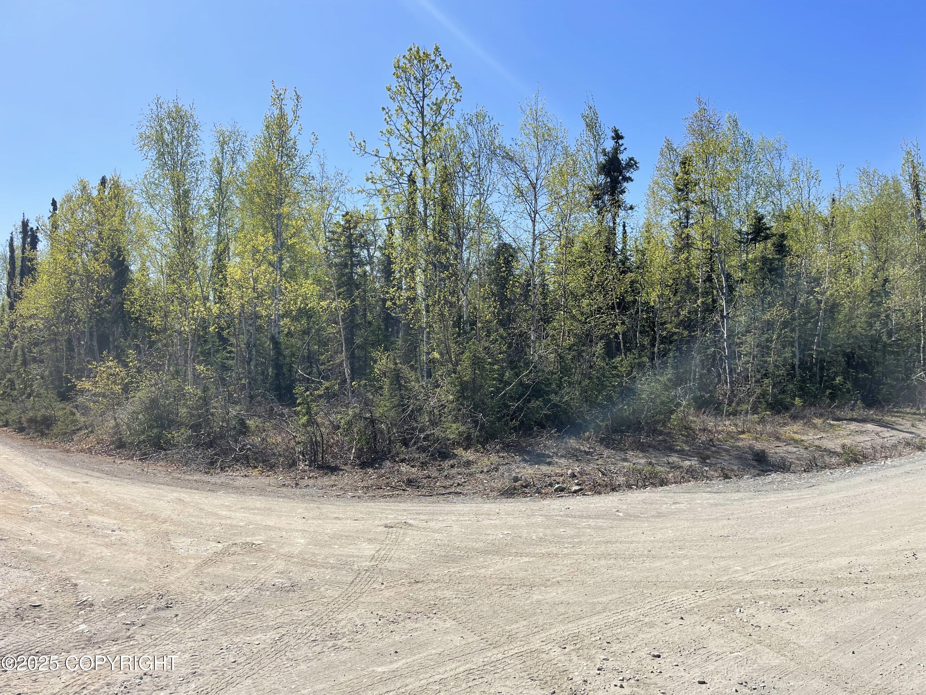 L2 E Talachulitna Drive #LOT 6, Willow, Idaho image 8