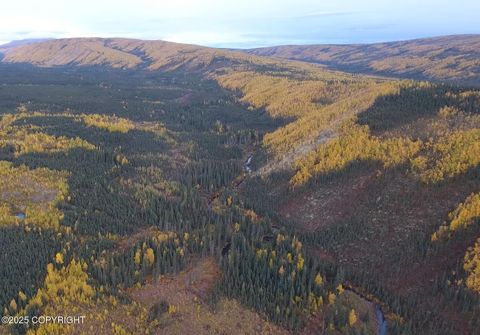 Vacant Land For Sale - 000 Little Boulder Creek Gold Mine<br/> Manley Hot Springs, AK 99756