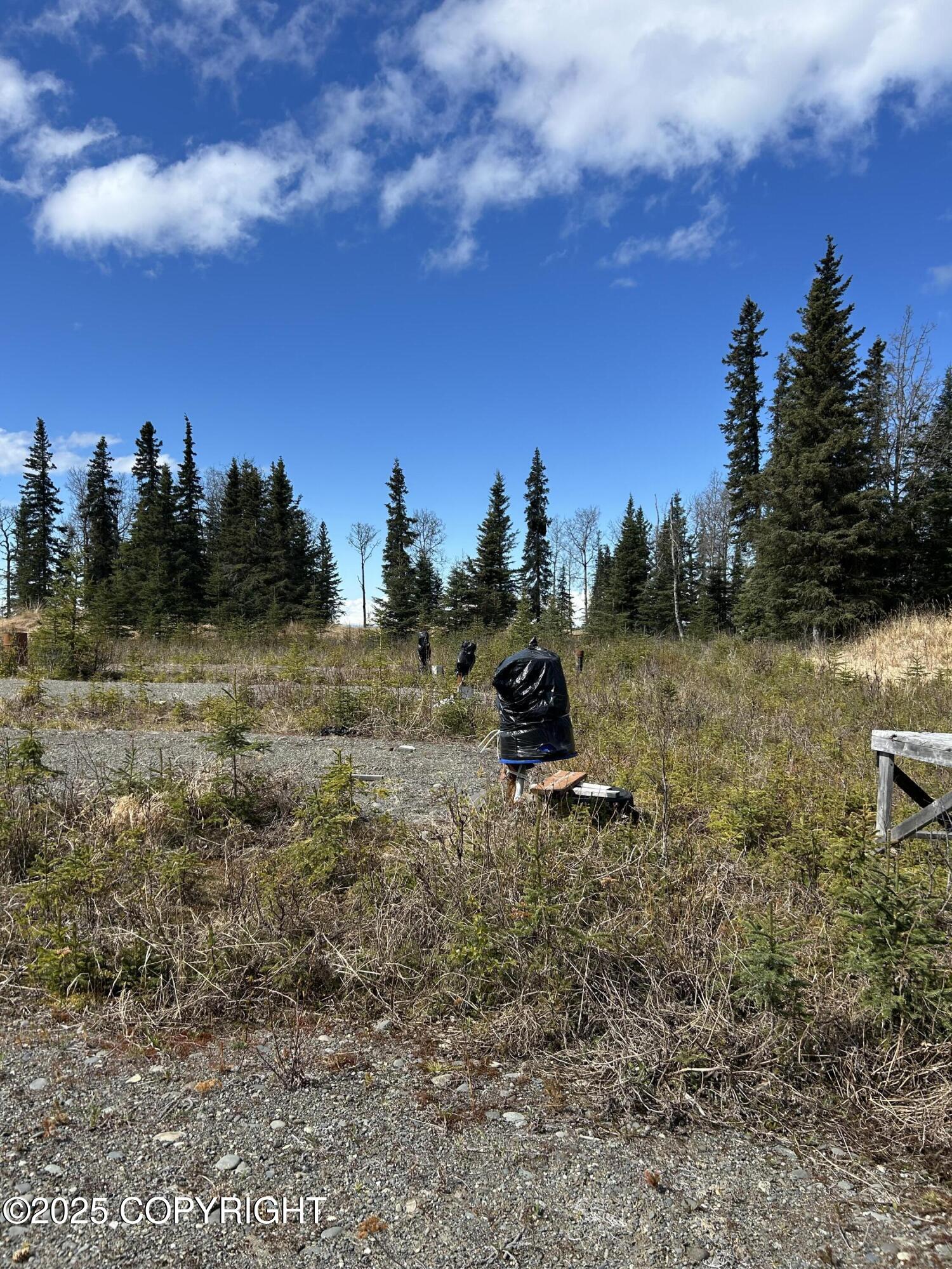 29101 Alvin Ness Street, Kasilof, Alaska image 13
