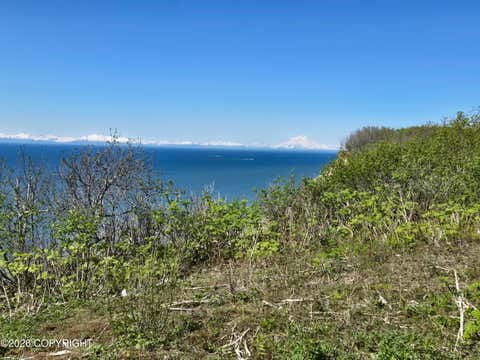 Vacant Land For Sale - L7 Danver<br/> Anchor Point, AK 99556