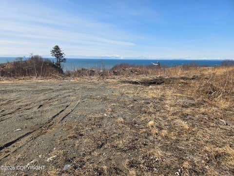 Vacant Land For Sale - L7 Danver<br/> Anchor Point, AK 99556