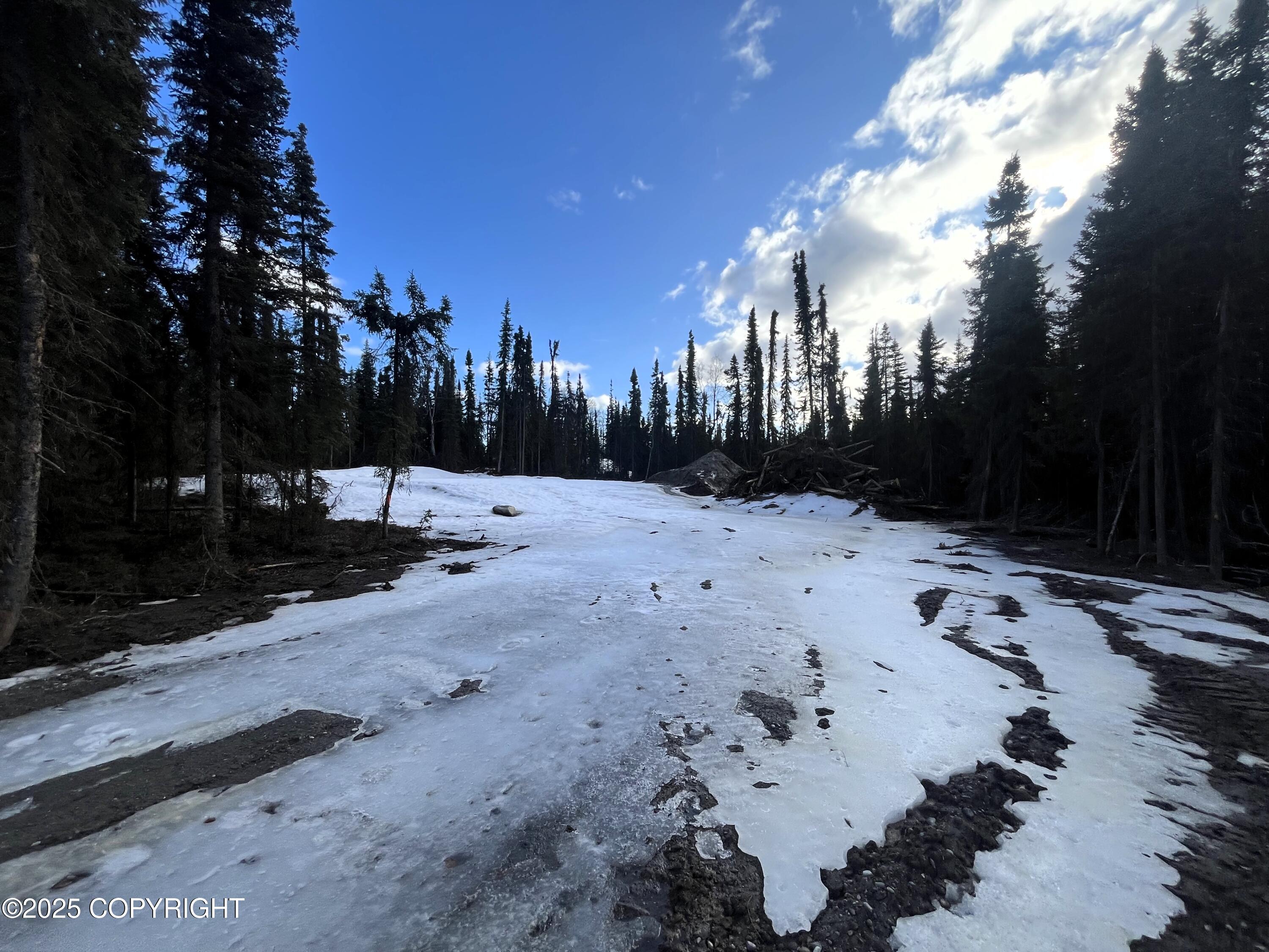 715 Riggs Avenue, Soldotna, Washington image 2