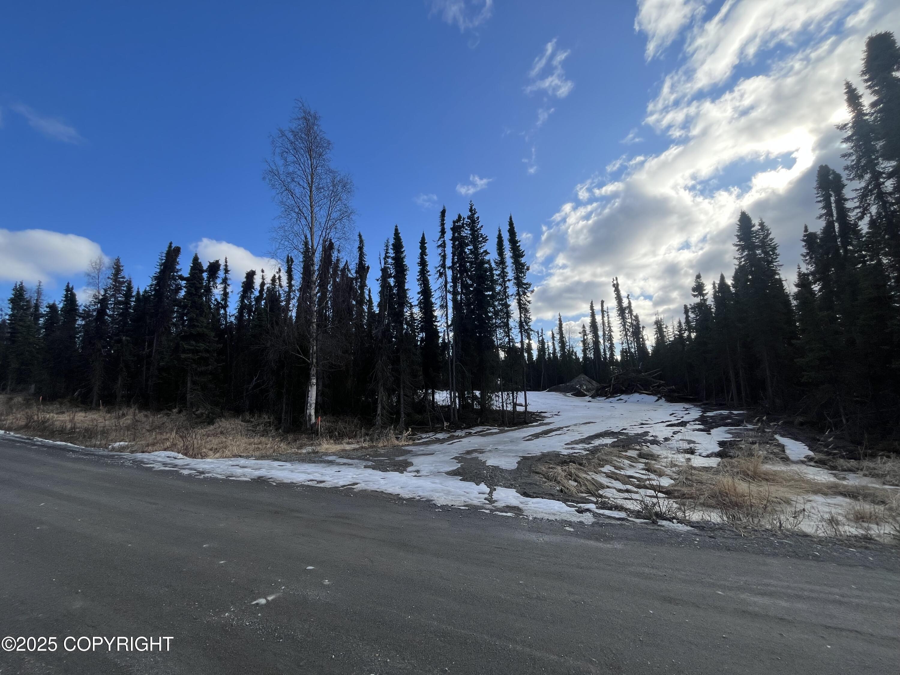 715 Riggs Avenue, Soldotna, Washington image 11