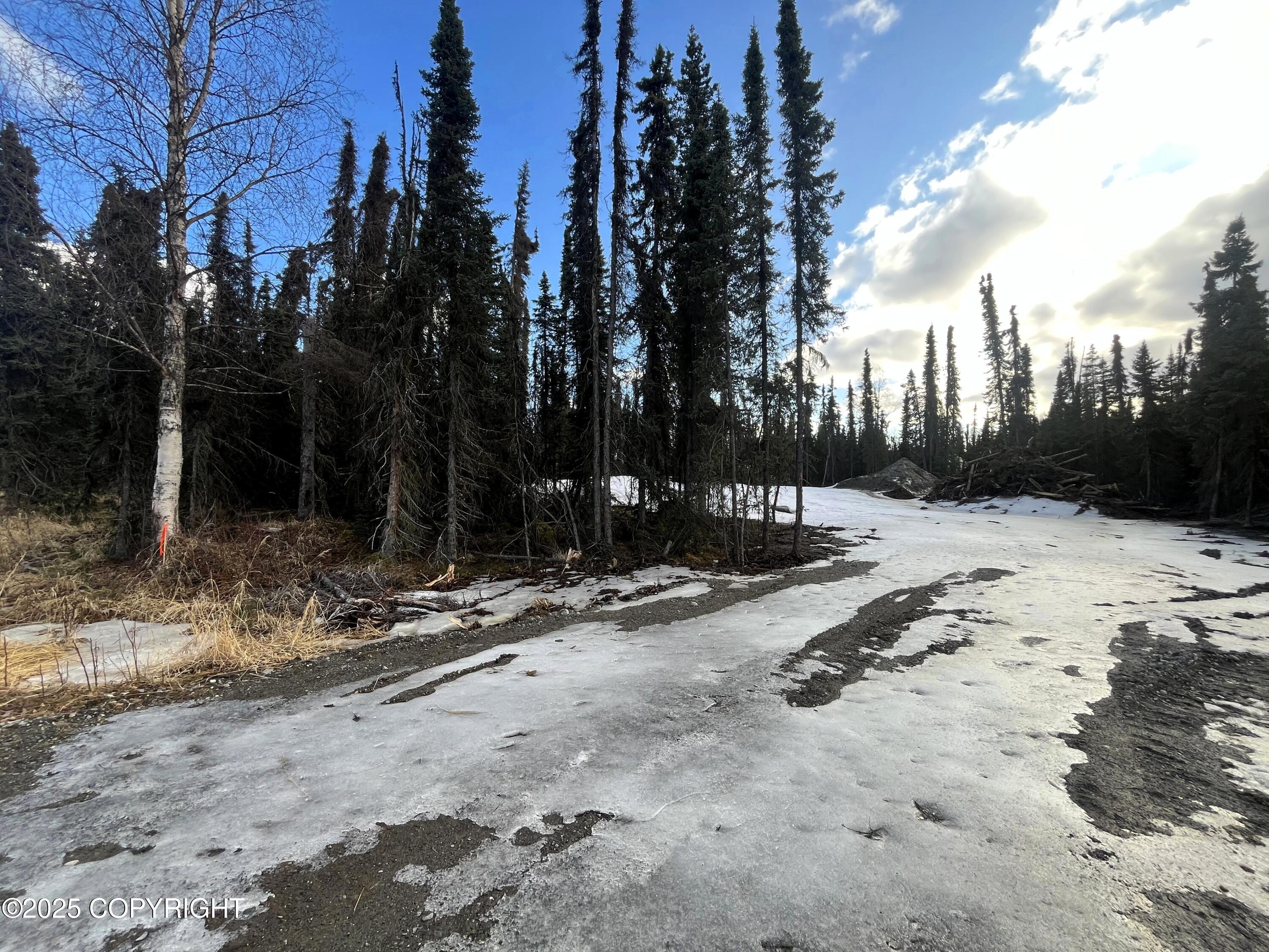 715 Riggs Avenue, Soldotna, Washington image 6