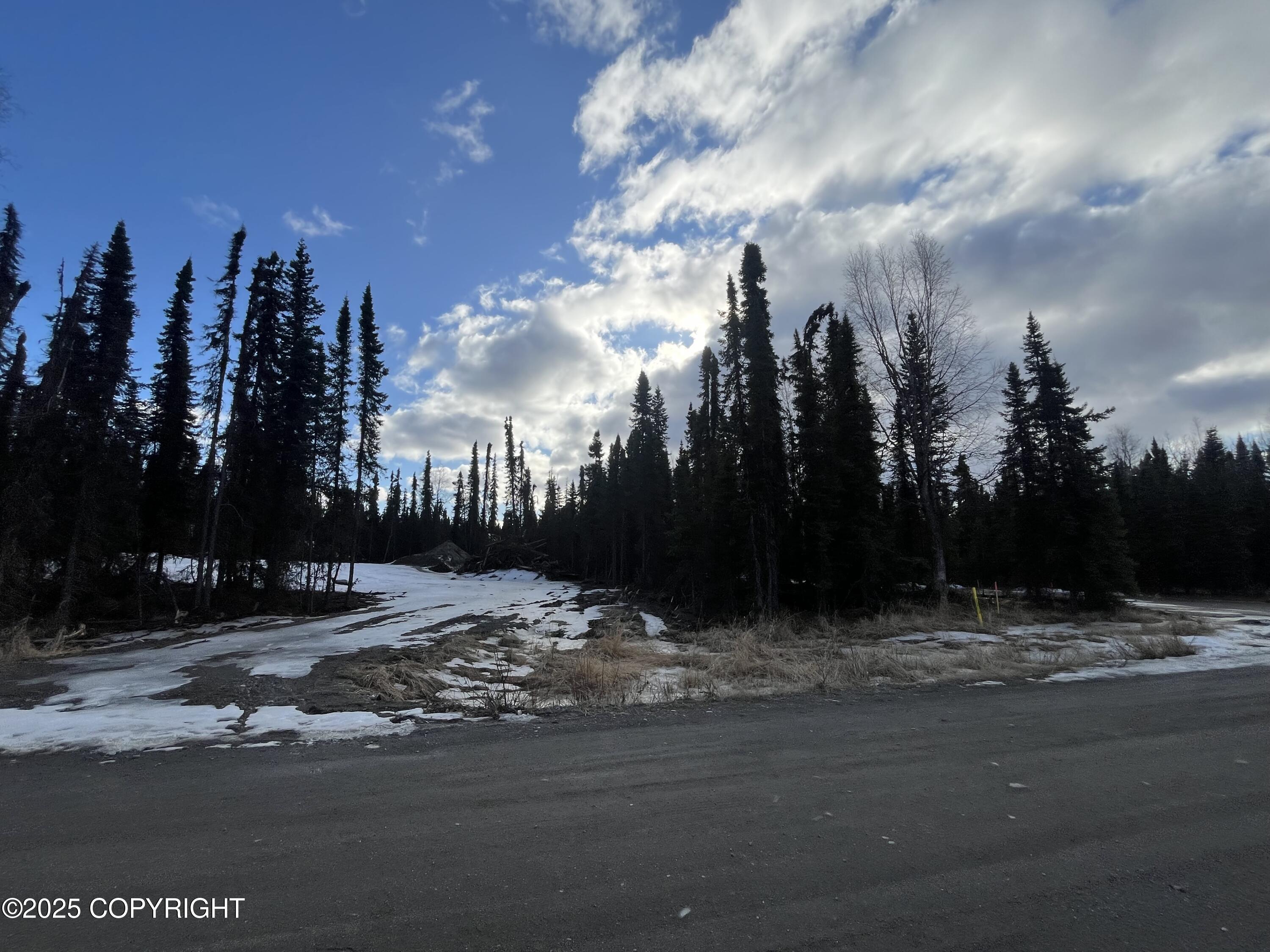 715 Riggs Avenue, Soldotna, Washington image 9