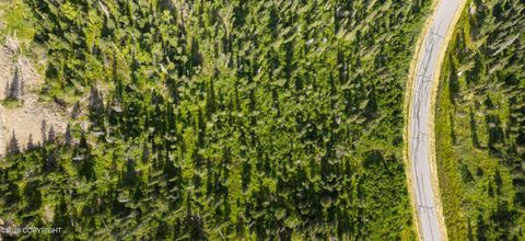 Vacant Land For Sale - L4 Mountain Air Drive<br/> Anchorage, AK 99516