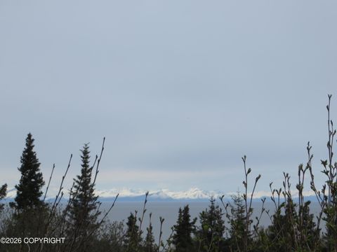 Vacant Land For Sale - L3 Sterling Highway<br/> Clam Gulch, AK 99568
