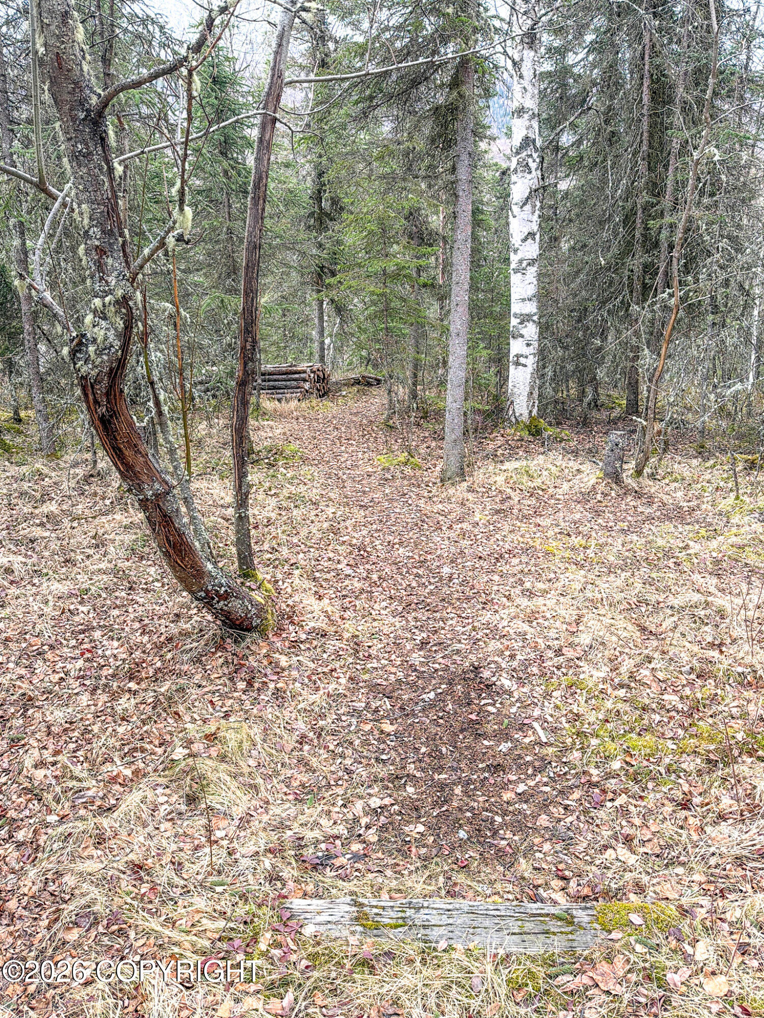 19036 Mountain Point Circle