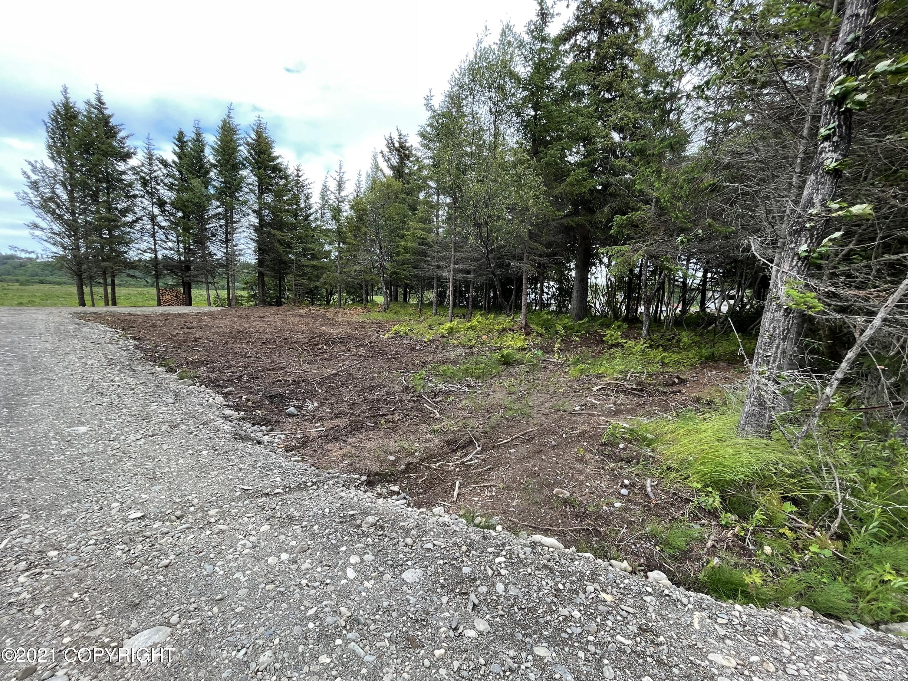 000 N Anchor Point (beach) Road, Anchor Point, Alaska image 6
