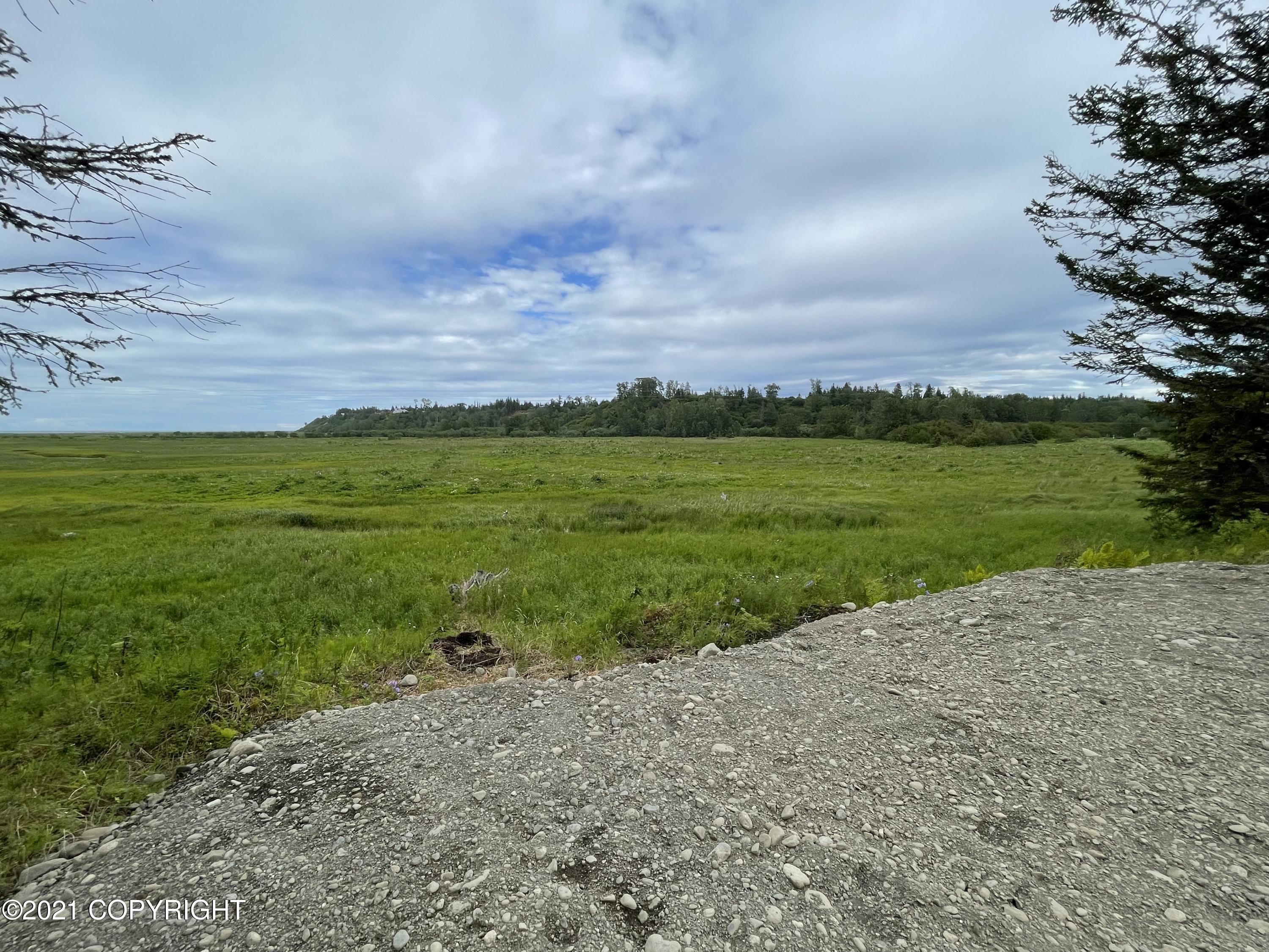 000 N Anchor Point (beach) Road, Anchor Point, Alaska image 2