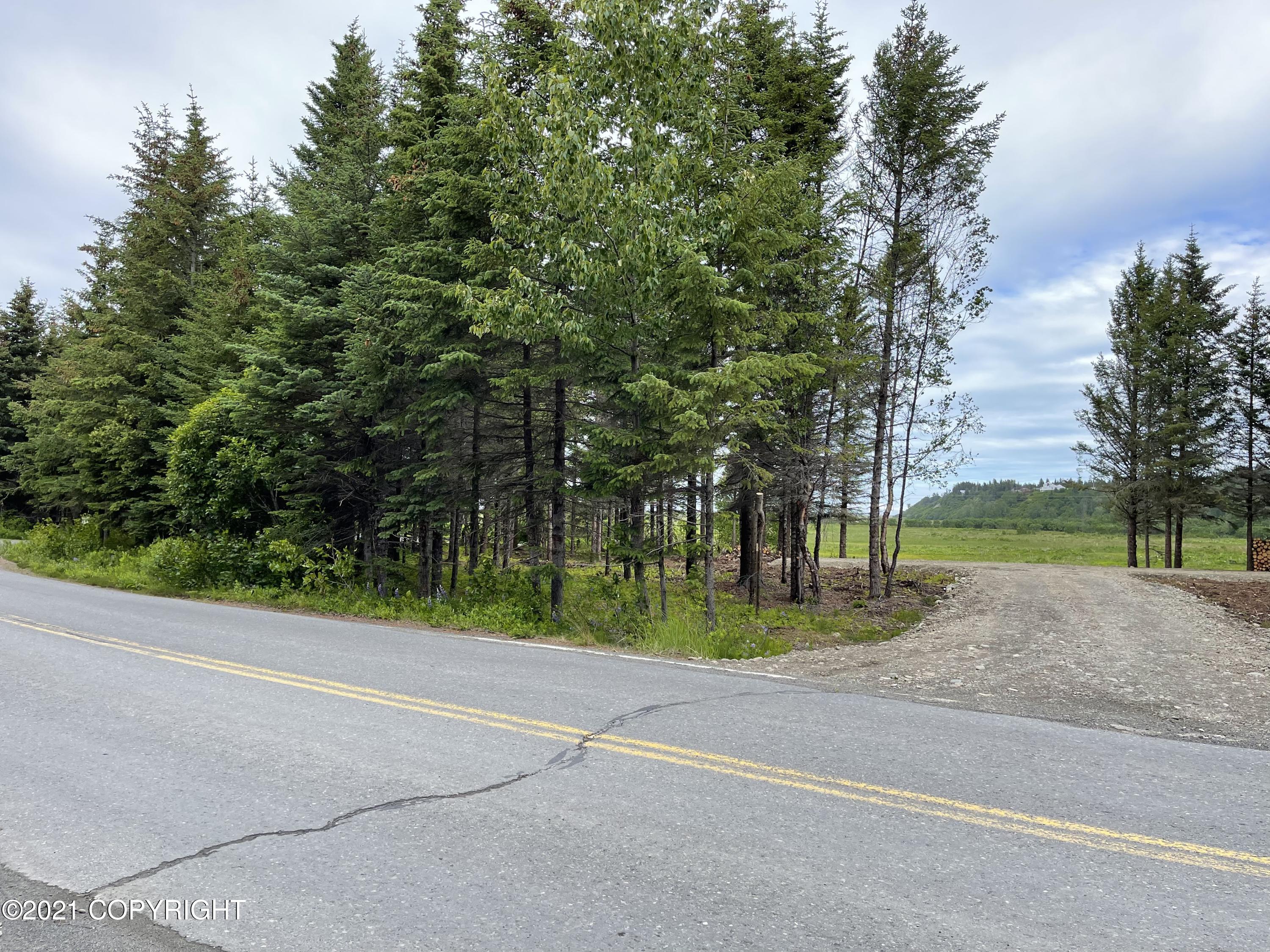000 N Anchor Point (beach) Road, Anchor Point, Alaska image 8