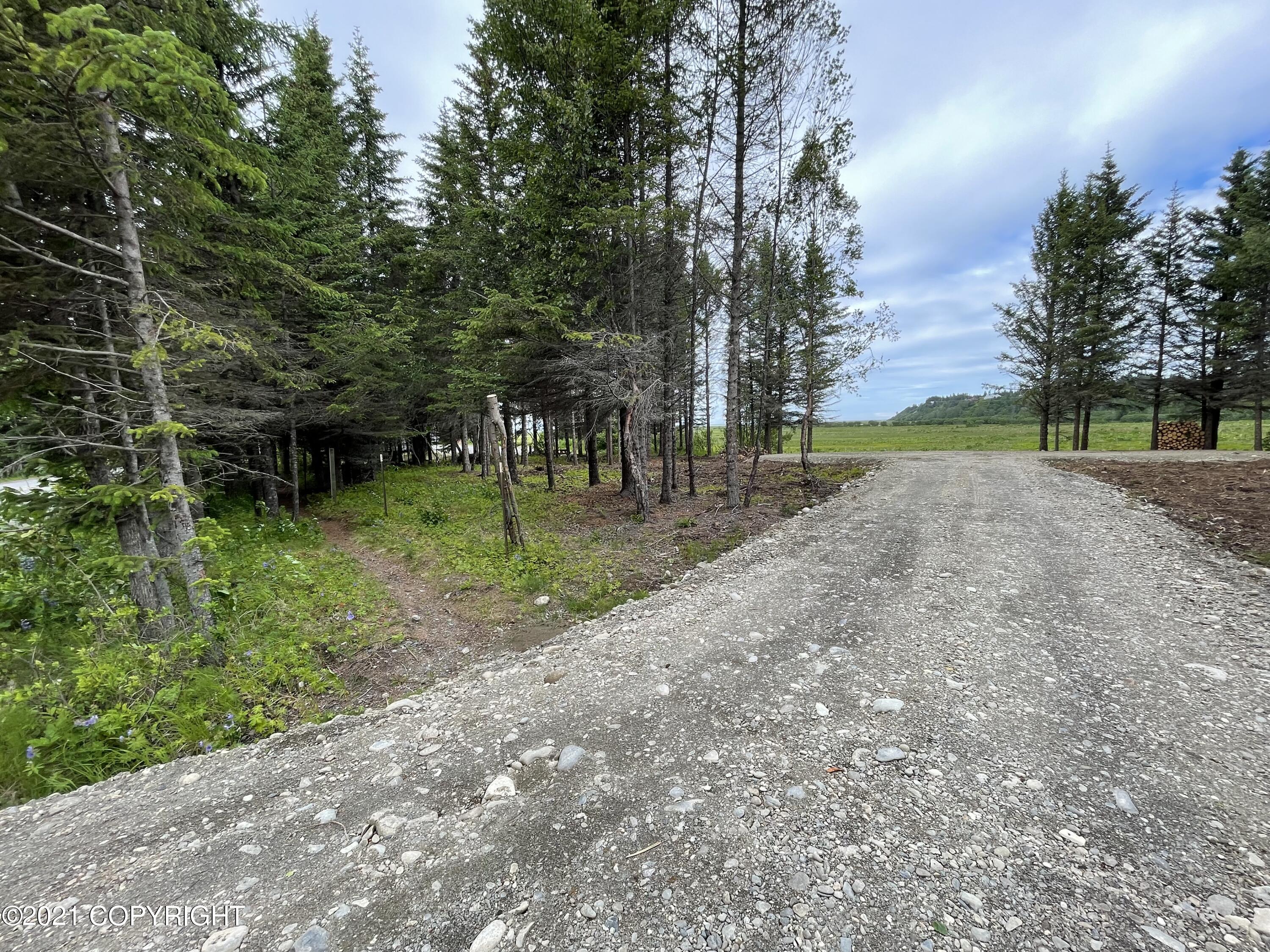 000 N Anchor Point (beach) Road, Anchor Point, Alaska image 5