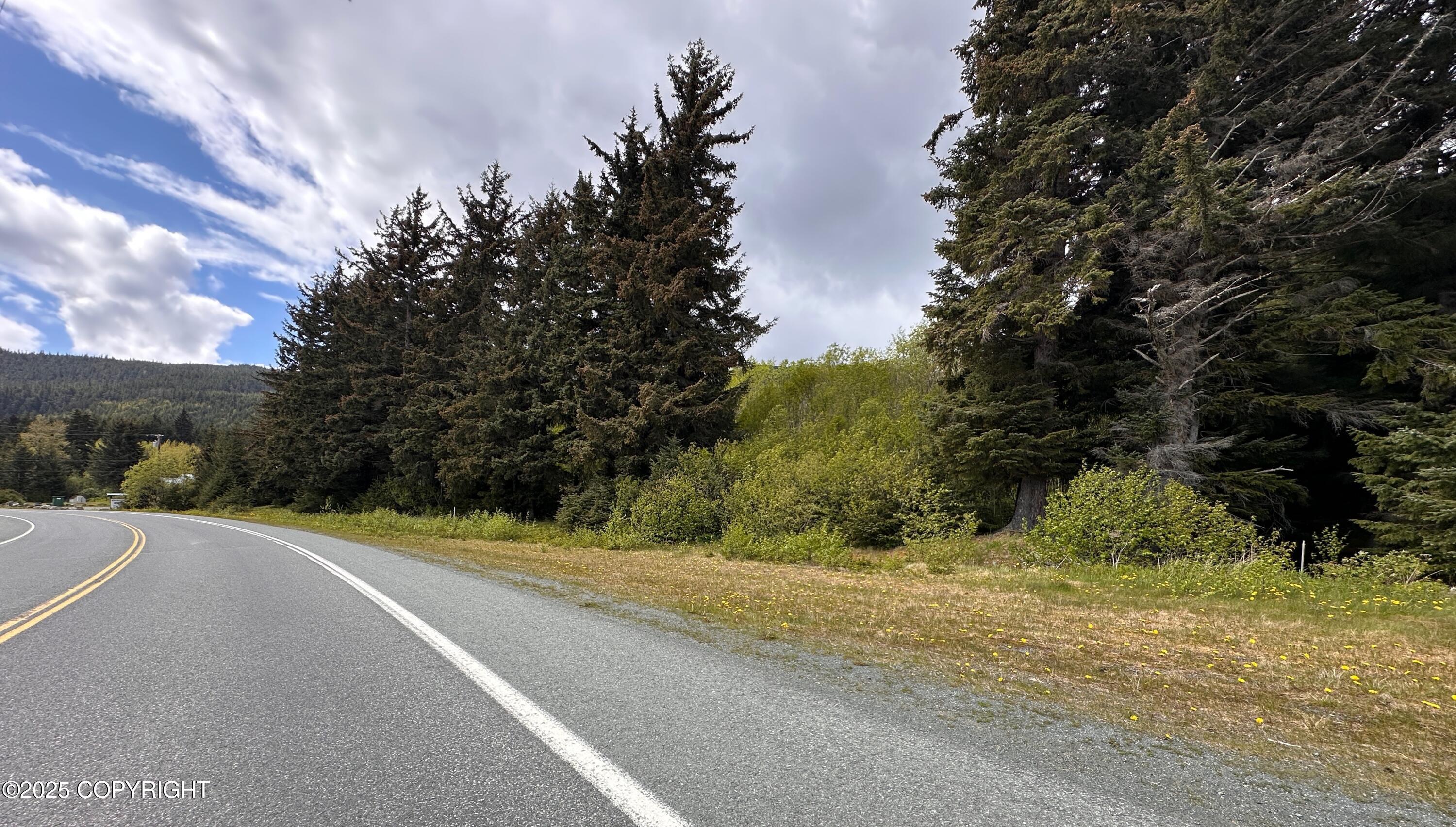 NHN Lutak Road, Haines, Alaska image 4