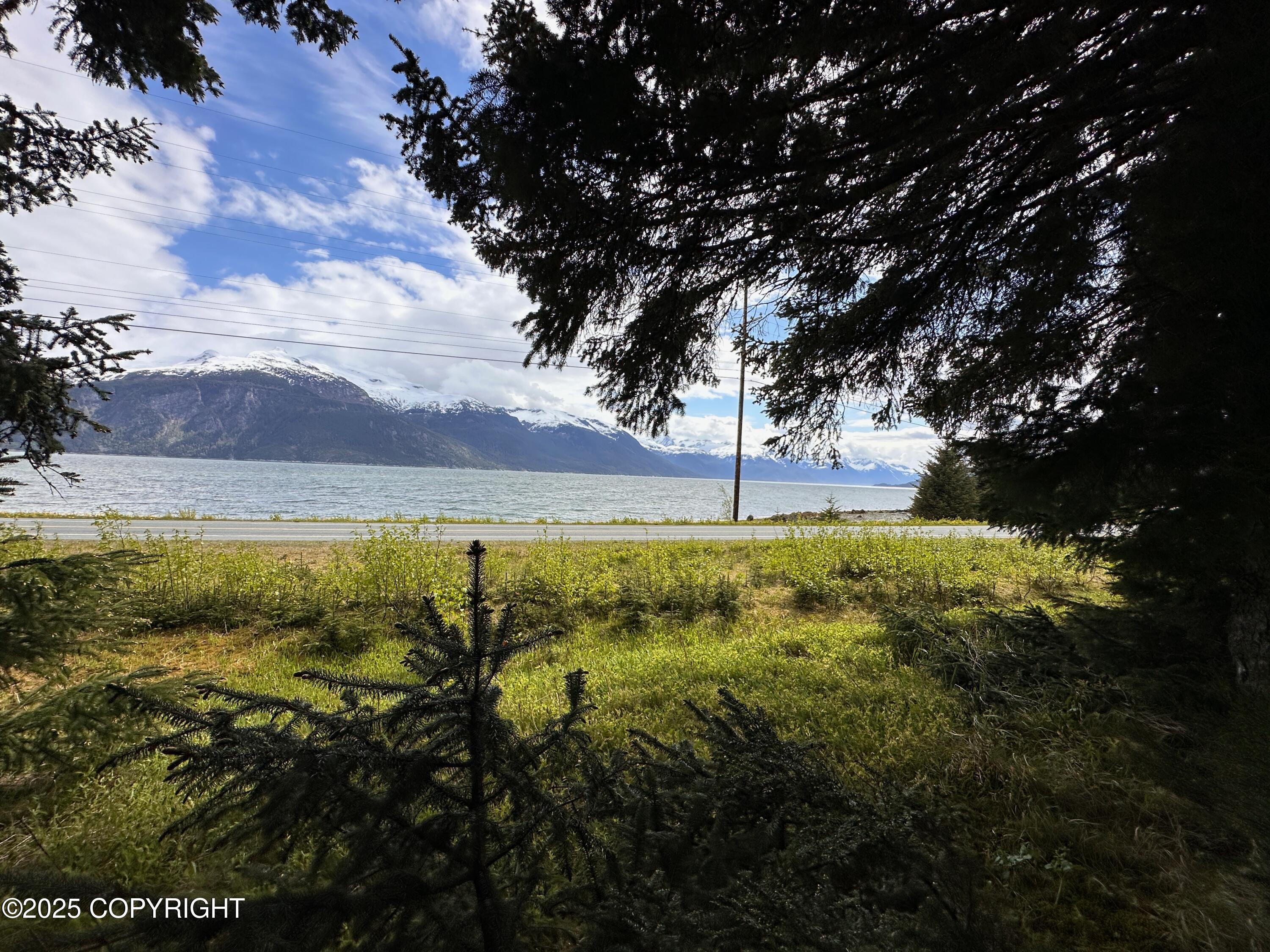 NHN Lutak Road, Haines, Alaska image 1