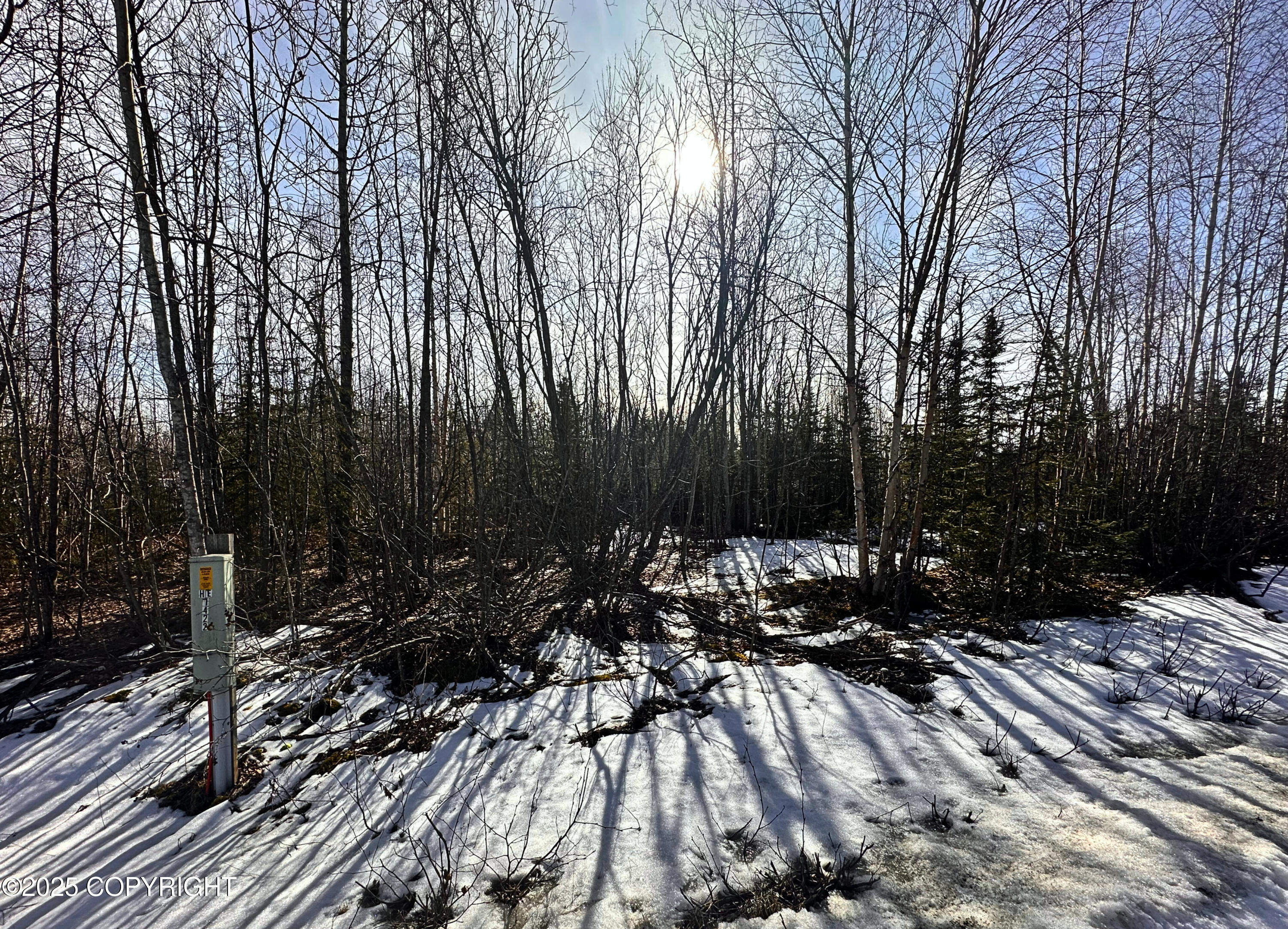 15712 W Rochella Place, Big Lake, Alaska image 2